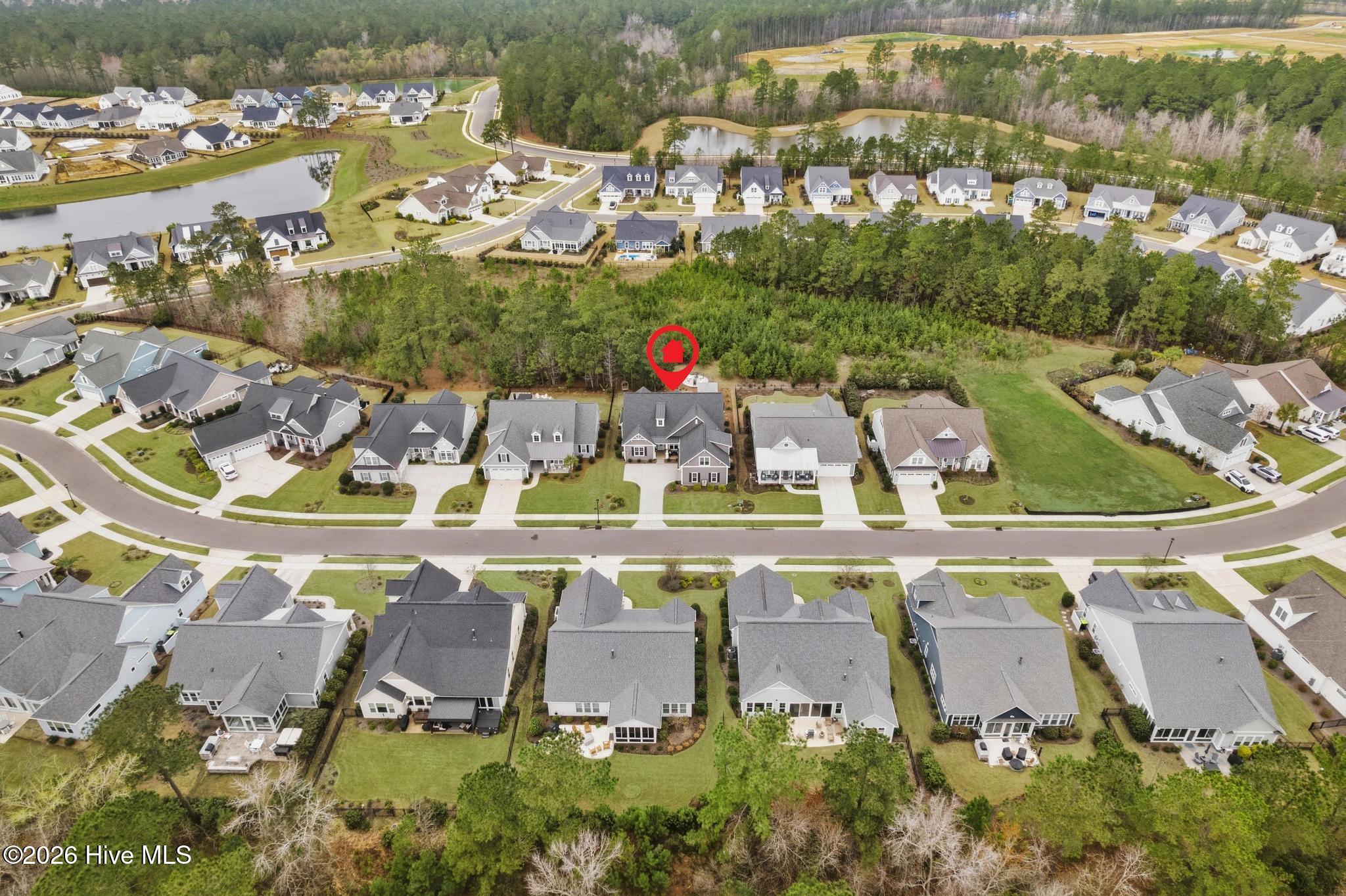 100561438 | Photo 49