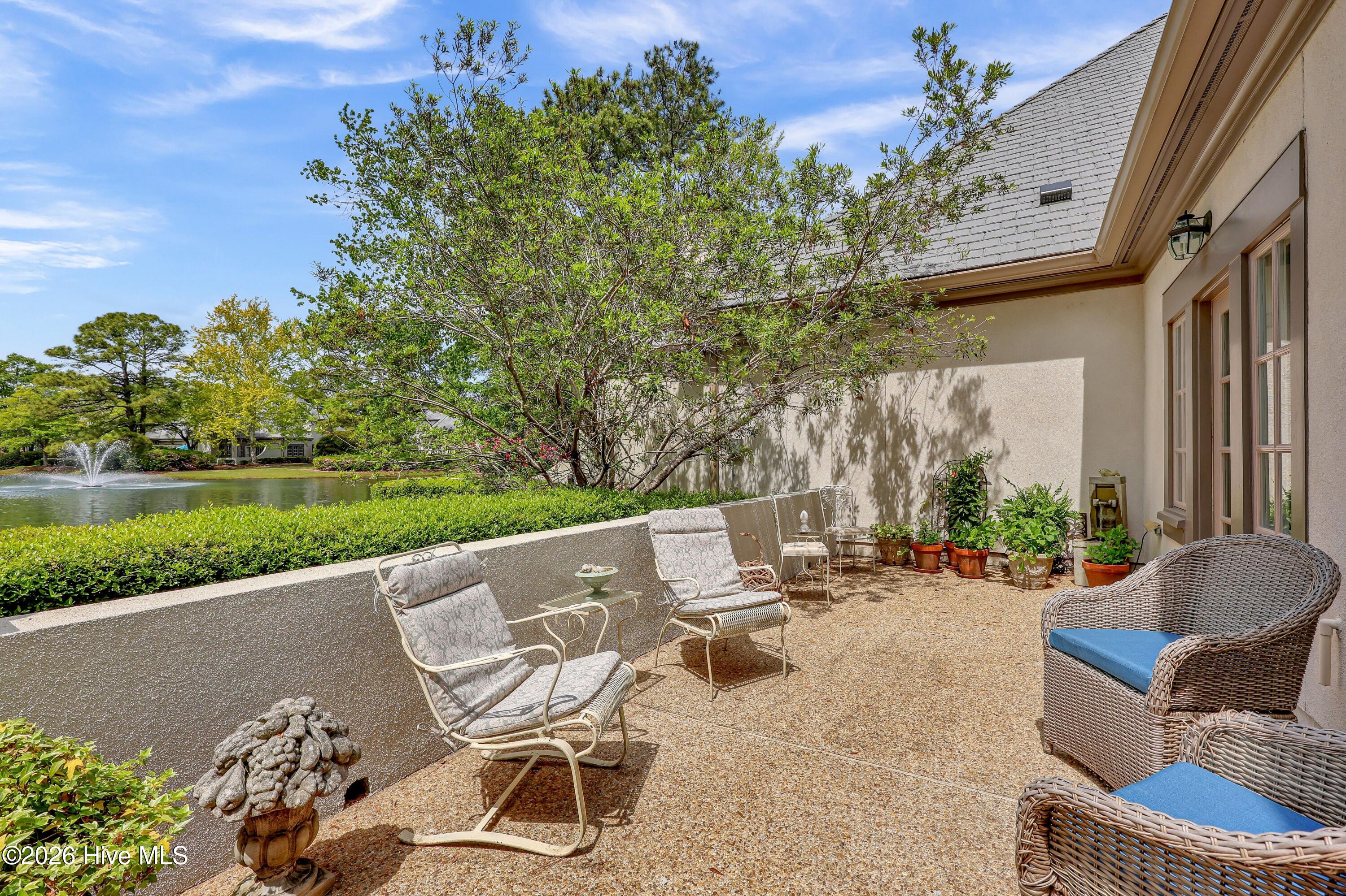 100567491 | Photo 42