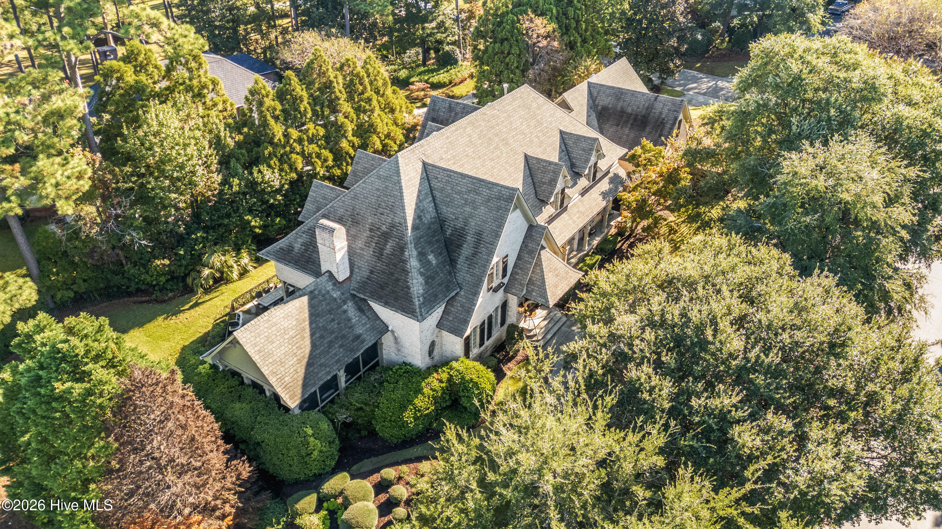 100555813 | Photo 103