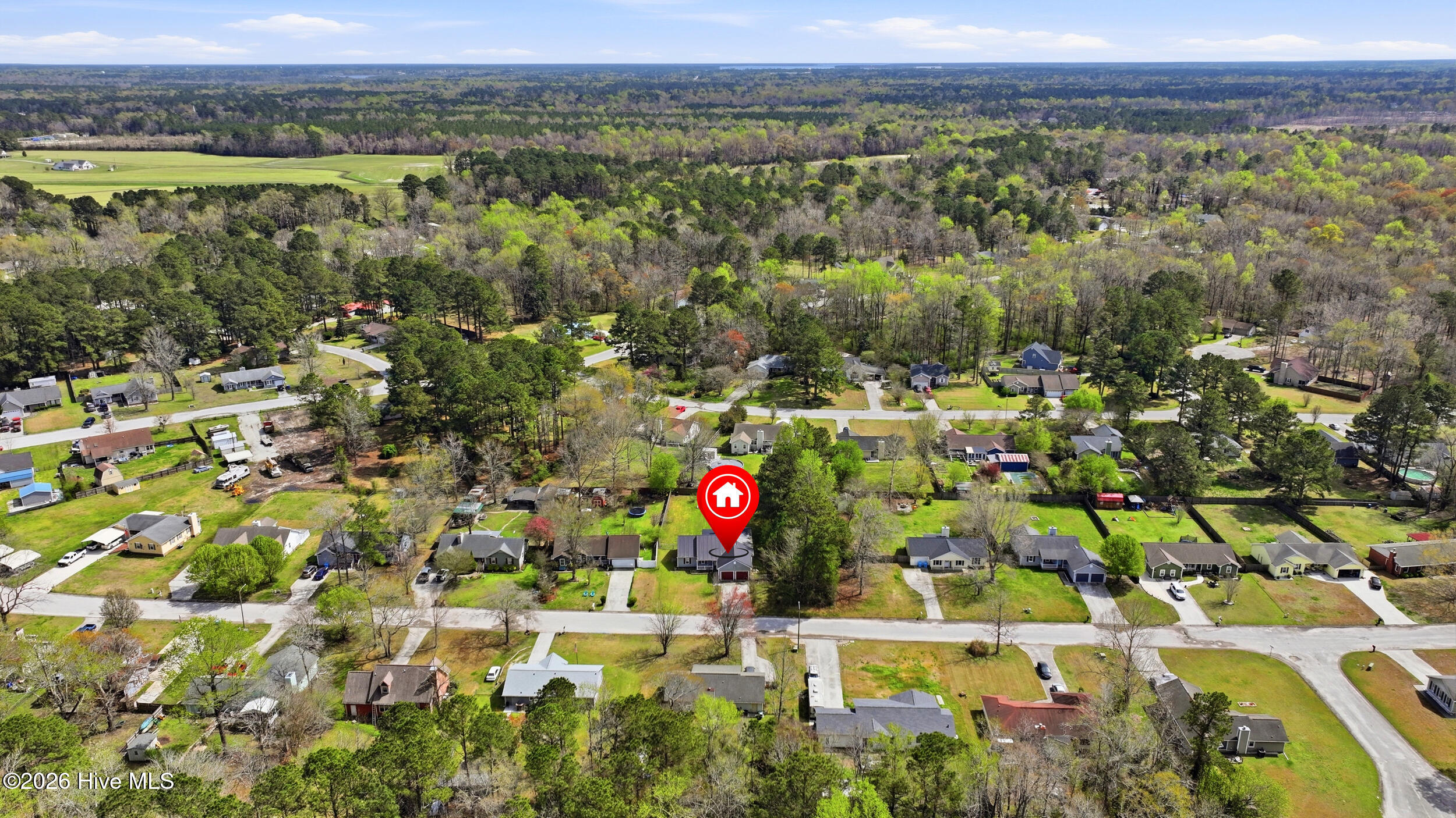 100562162 | Photo 34