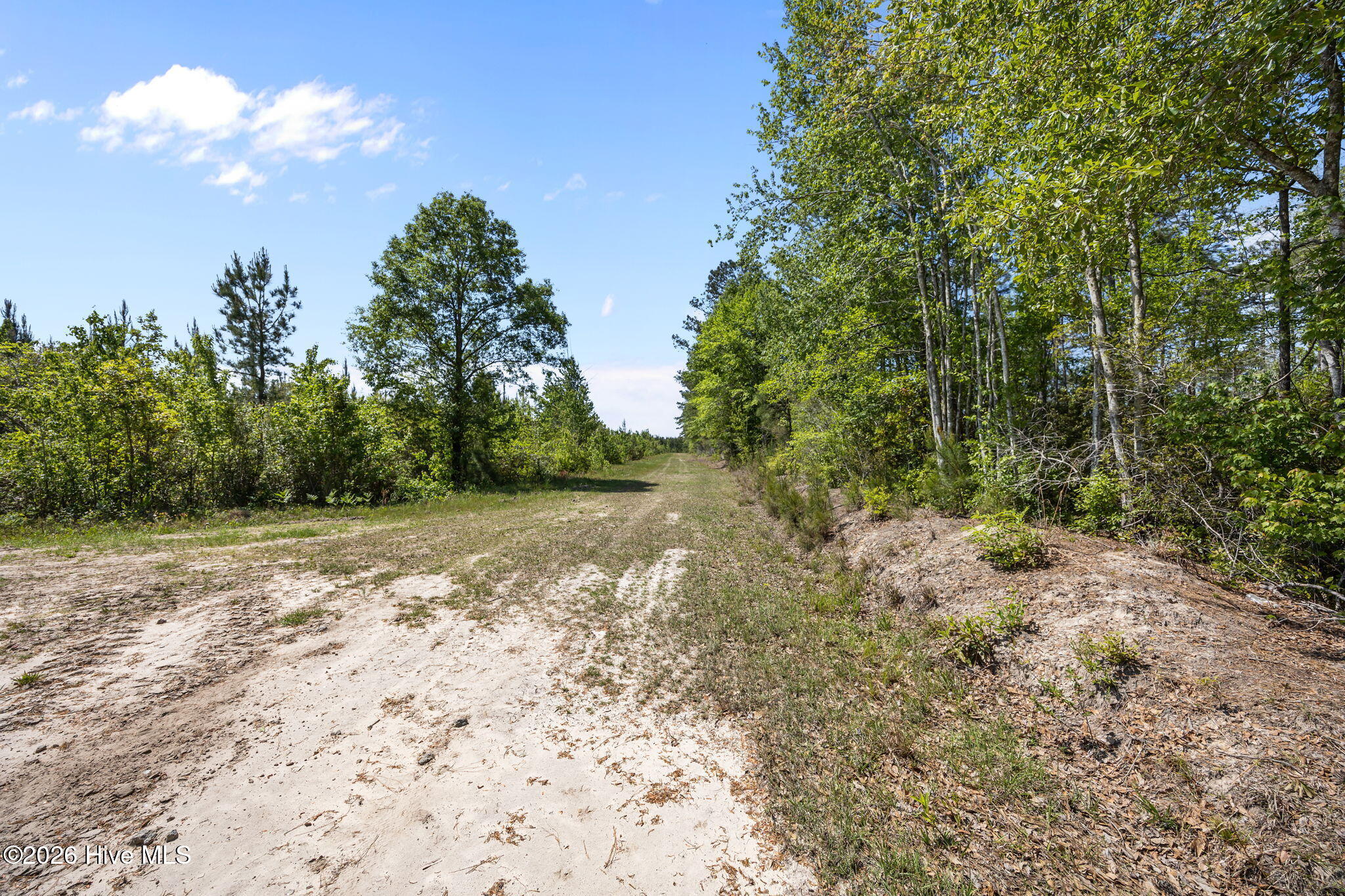 100569049 | Photo 13