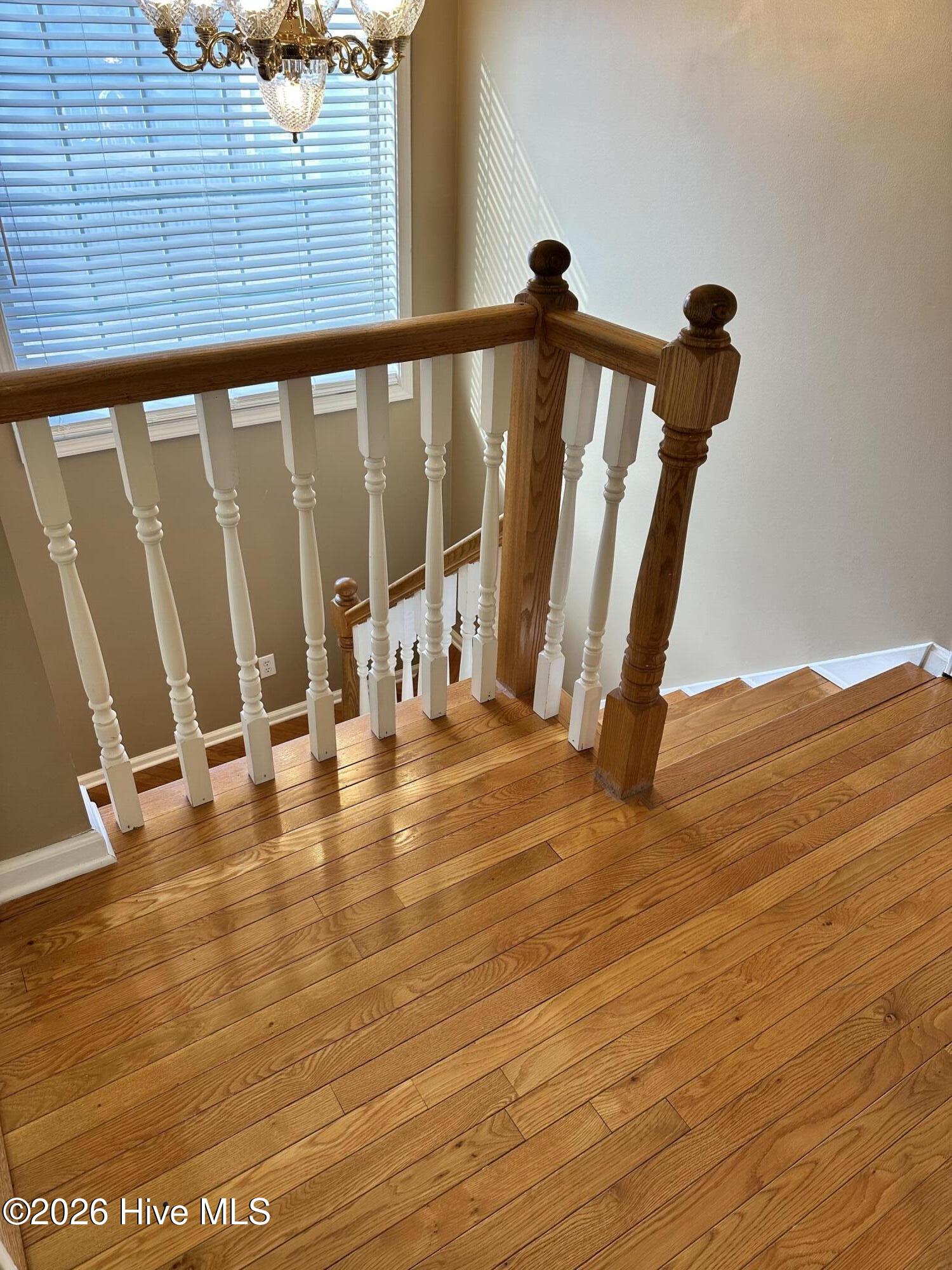 100551305 | Photo 39