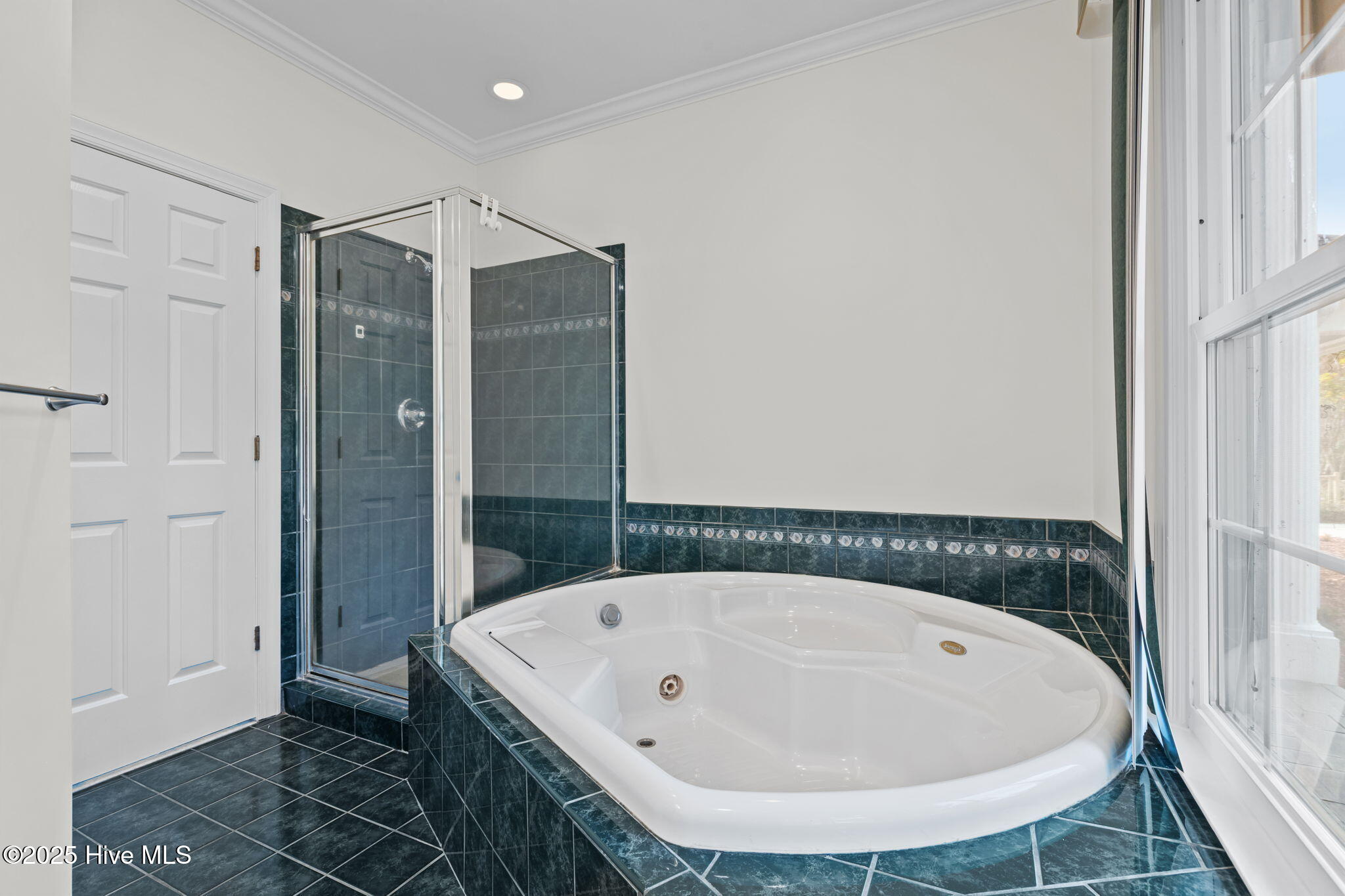 100542960 | Photo 15