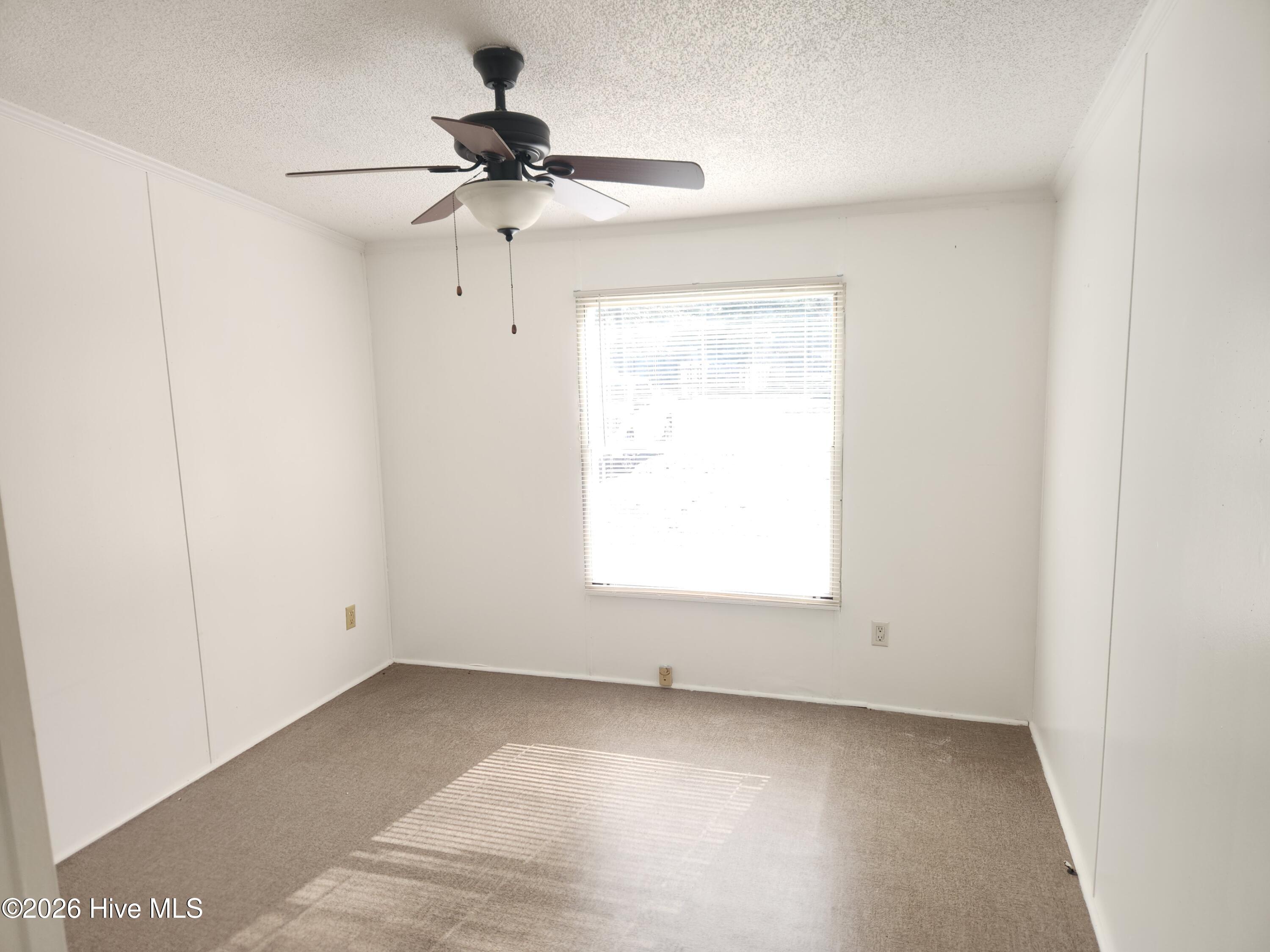 100550043 | Photo 18