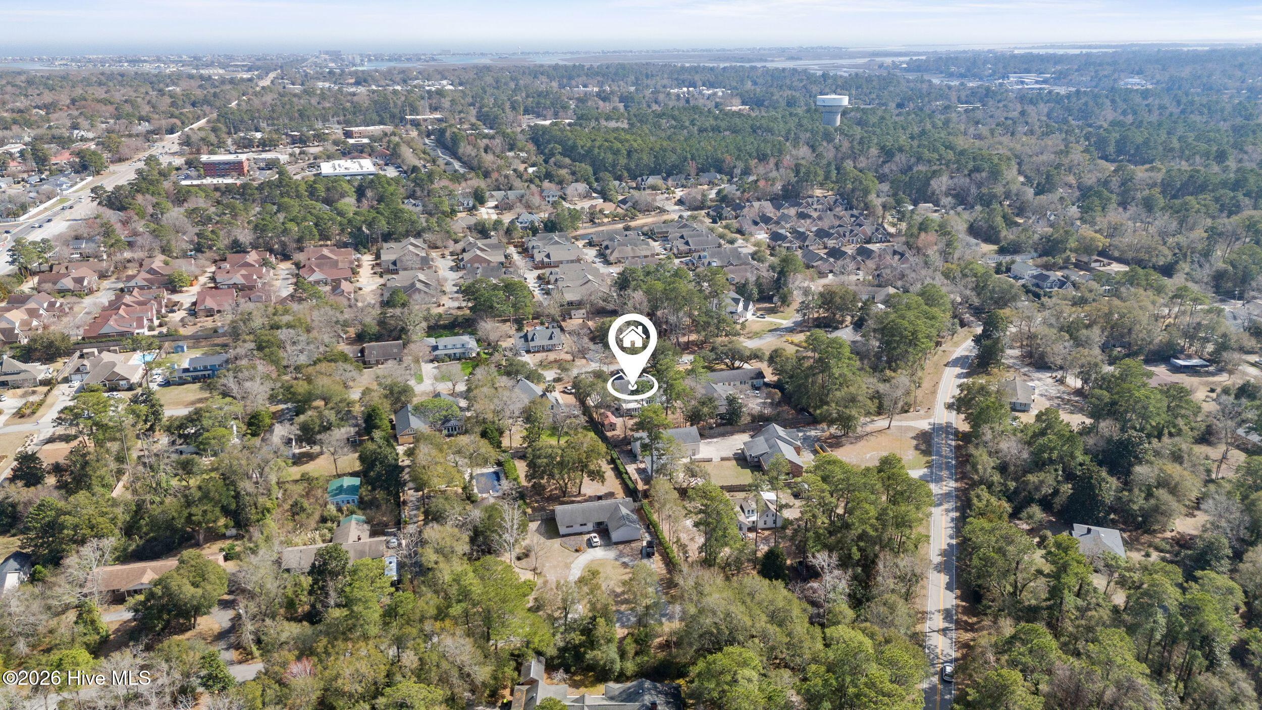 100558264 | Photo 65