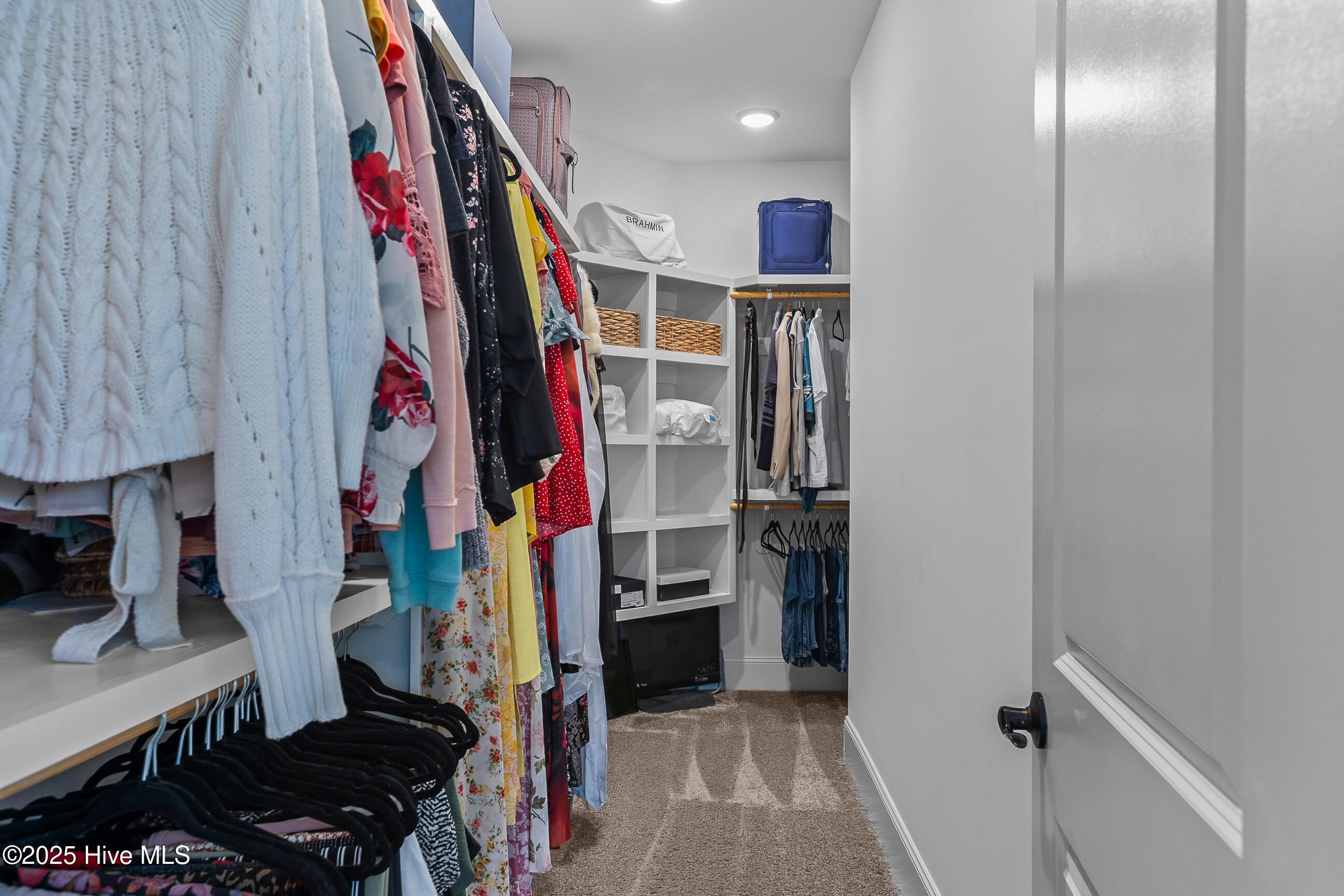 100536190 | Photo 21