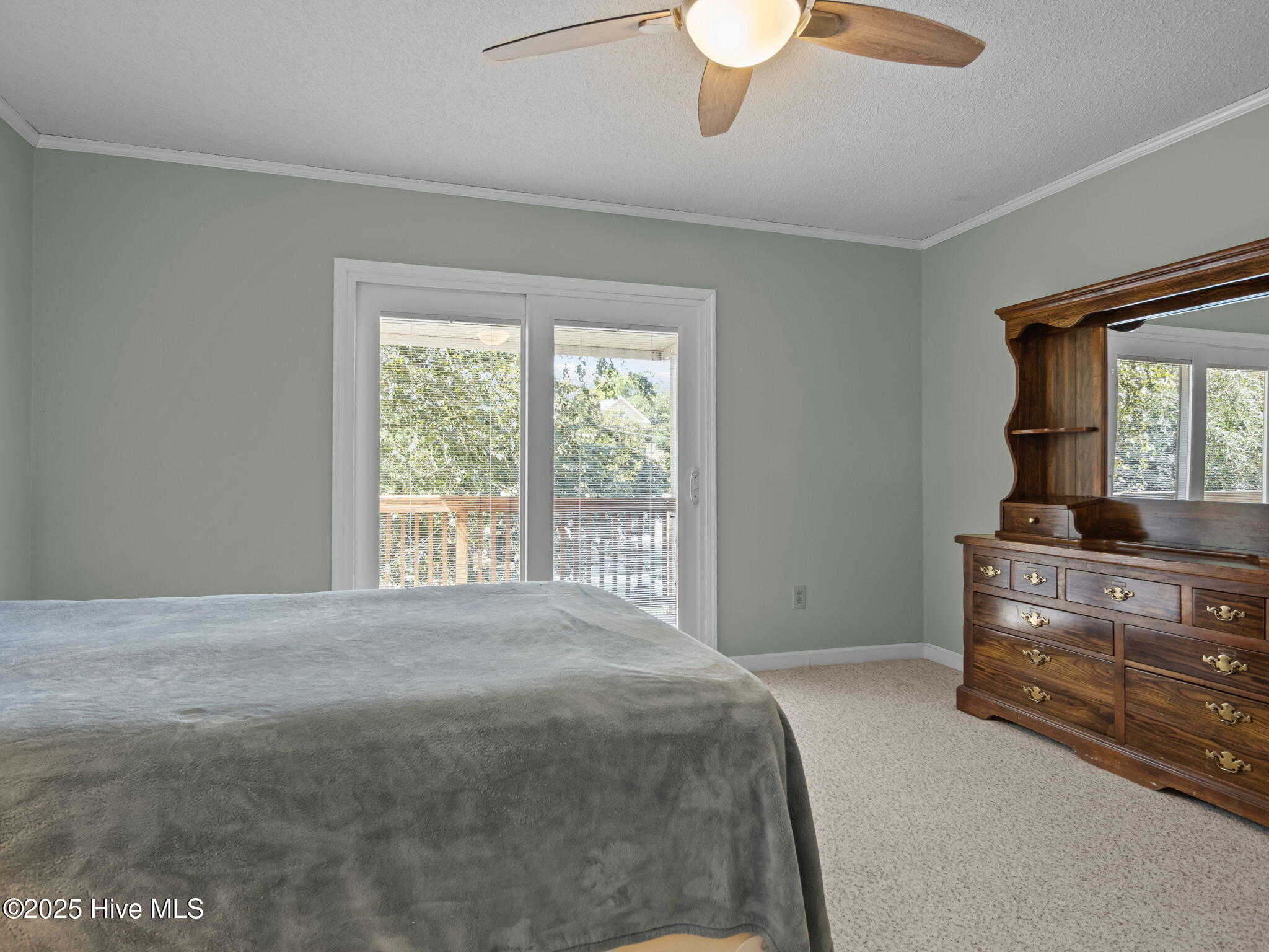 100533073 | Photo 22