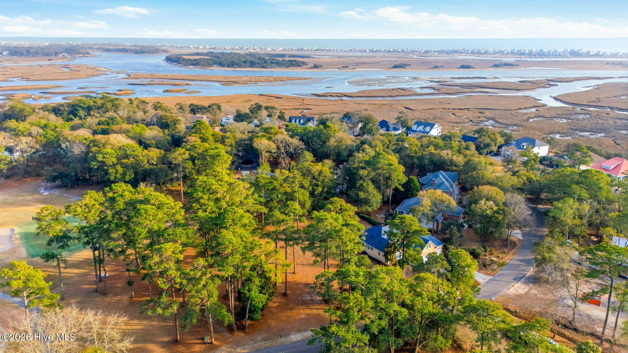 100556914 | Photo 12