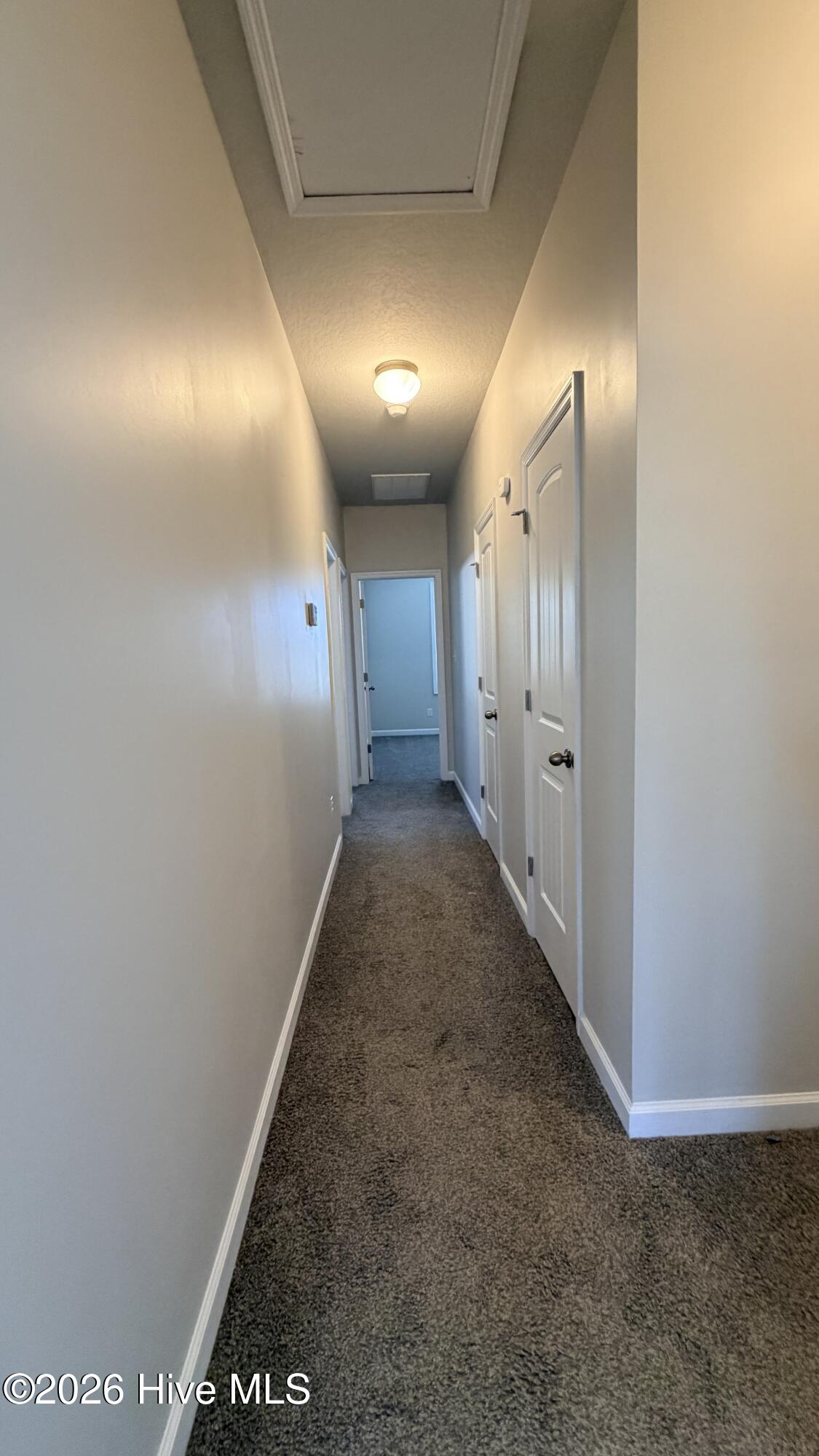 100553003 | Photo 11