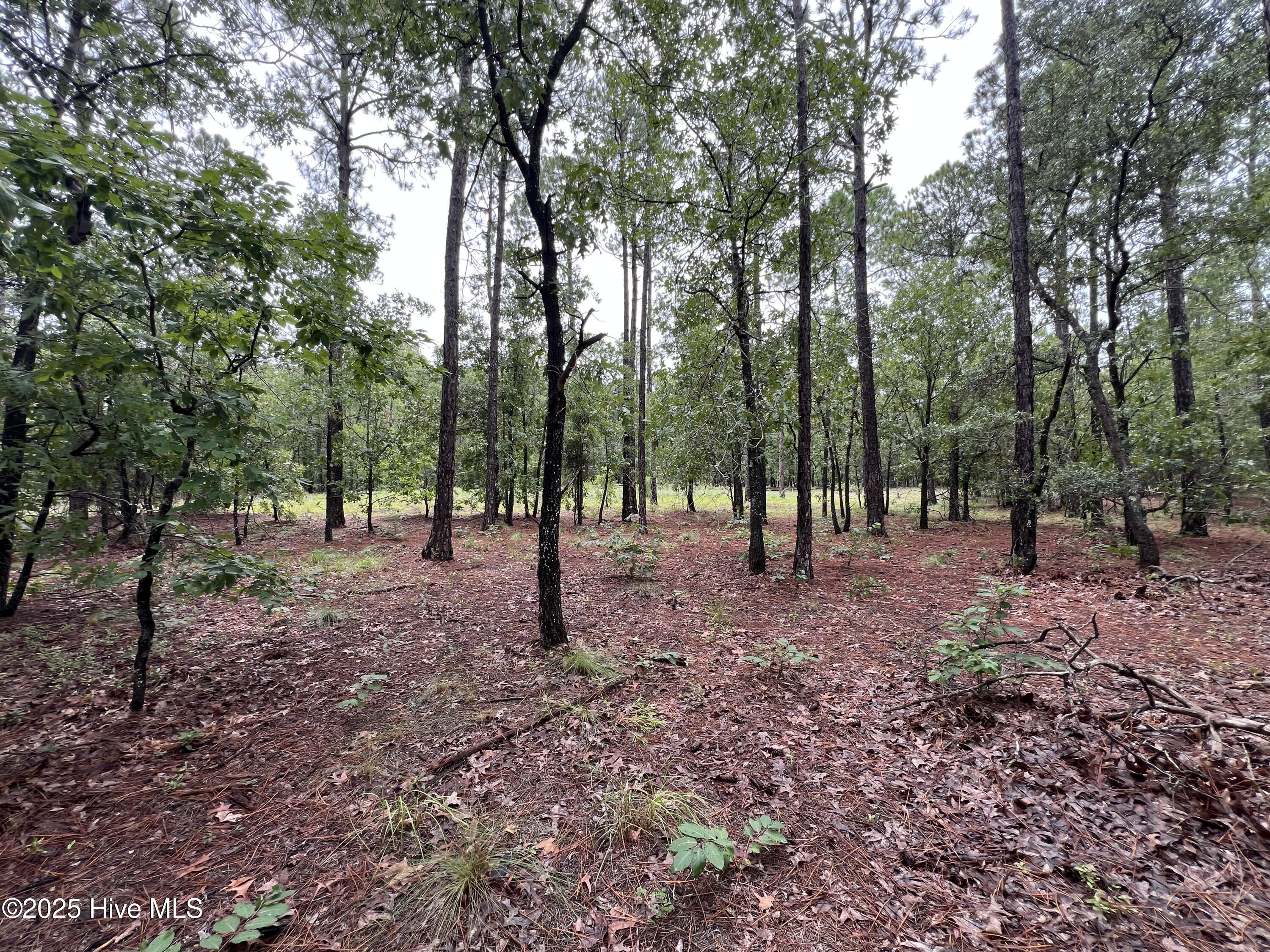 100527062 | Photo 16