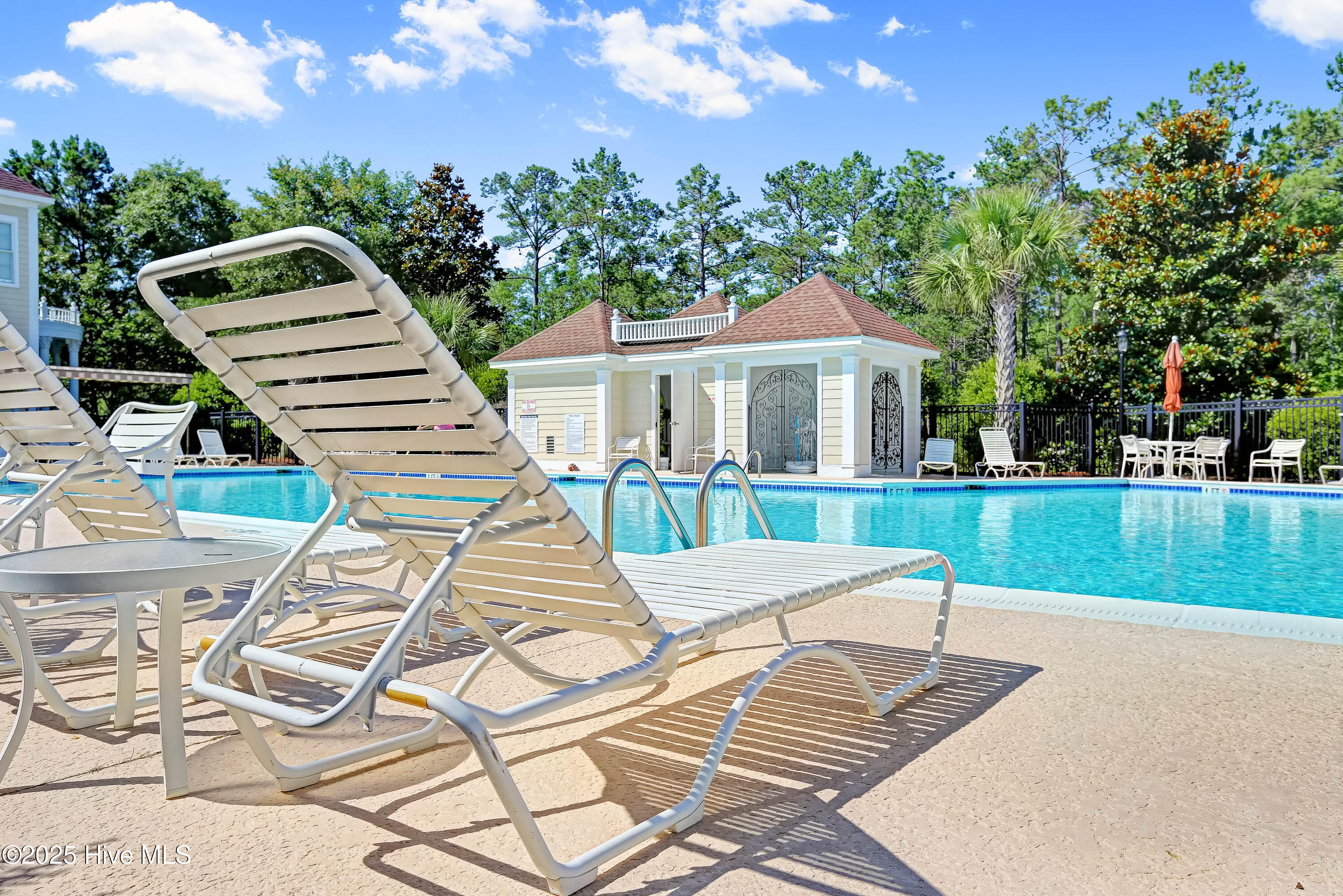 100498596 | Photo 33