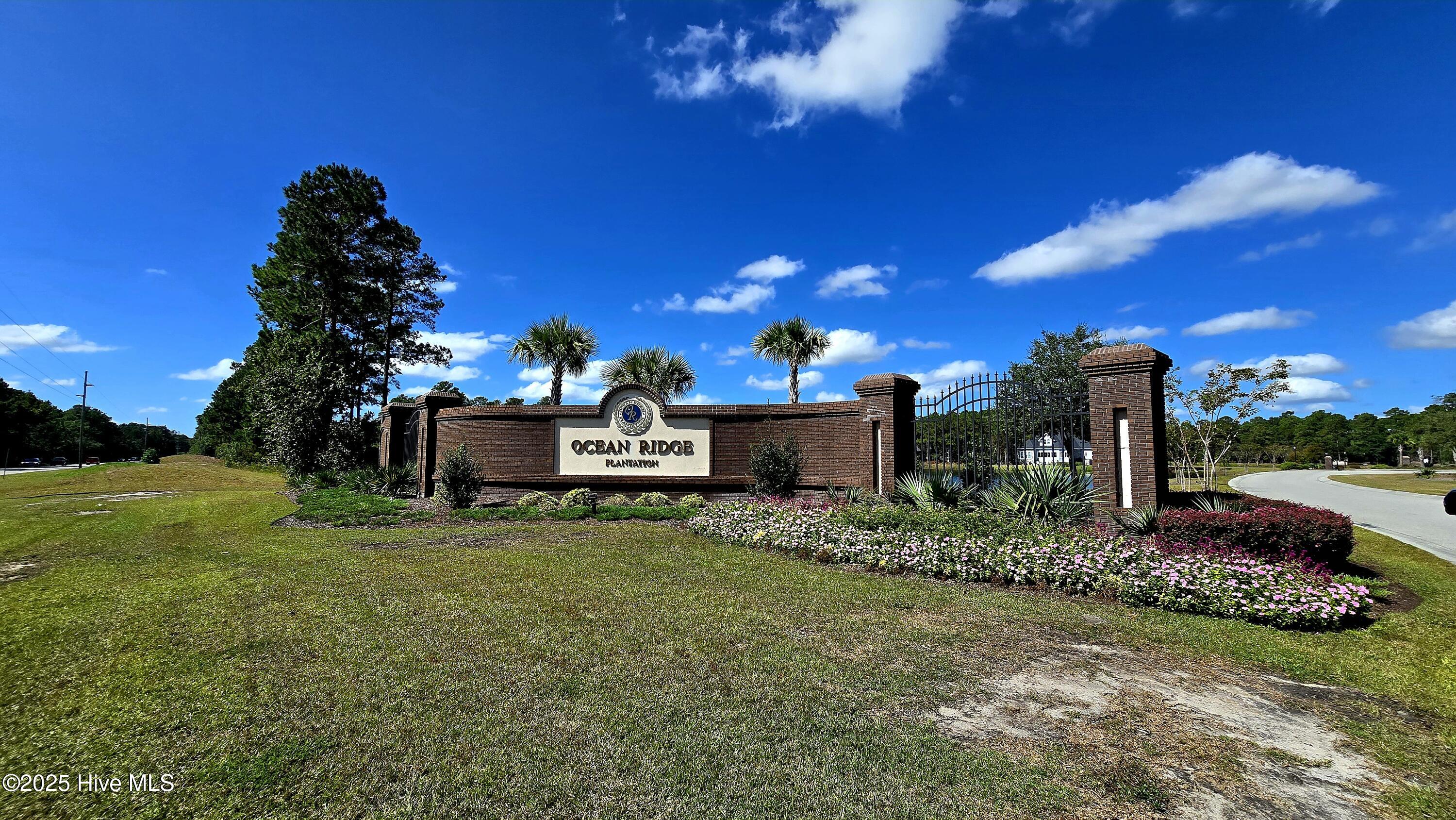 100534264 | Photo 15