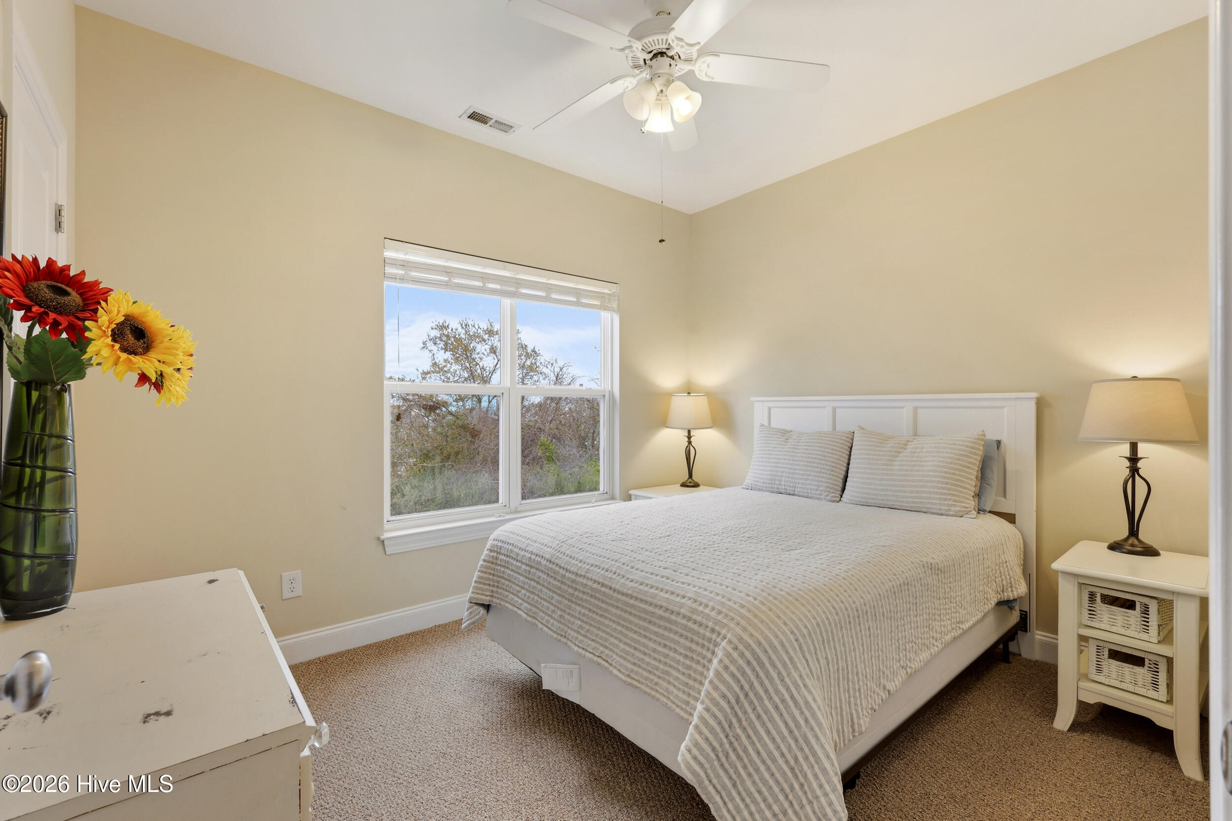 100562364 | Photo 20