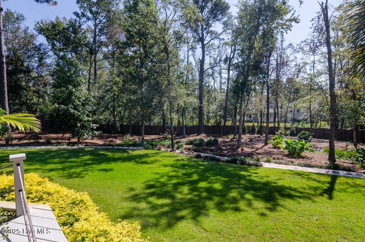 100528608 | Photo 47