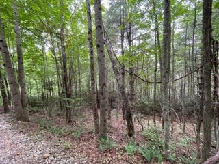 Homes for sale in Topton, NC | Lot 1 Summit View Dr, Topton, NC 28781 | MLS# 98525130