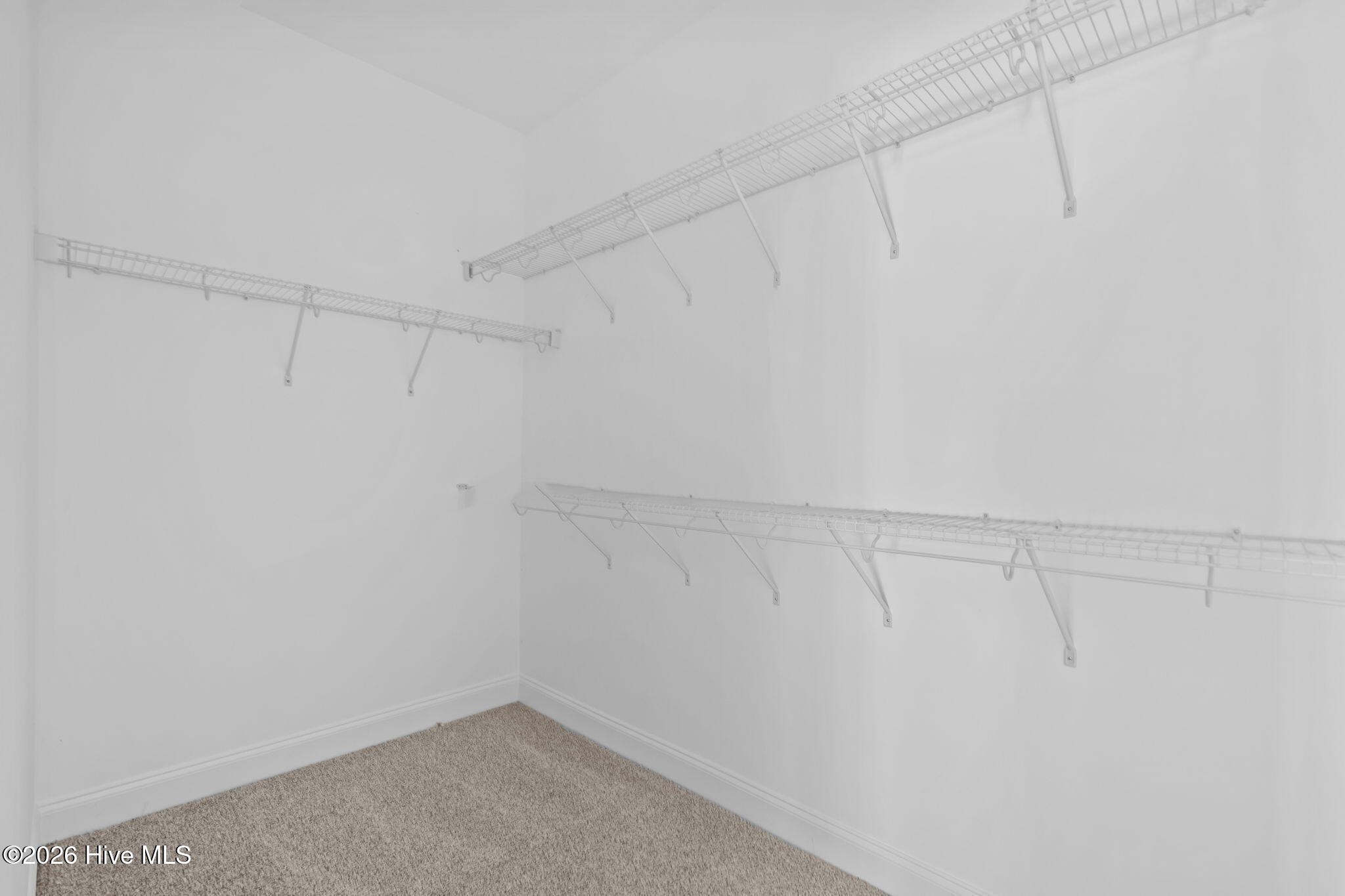 100528702 | Photo 28