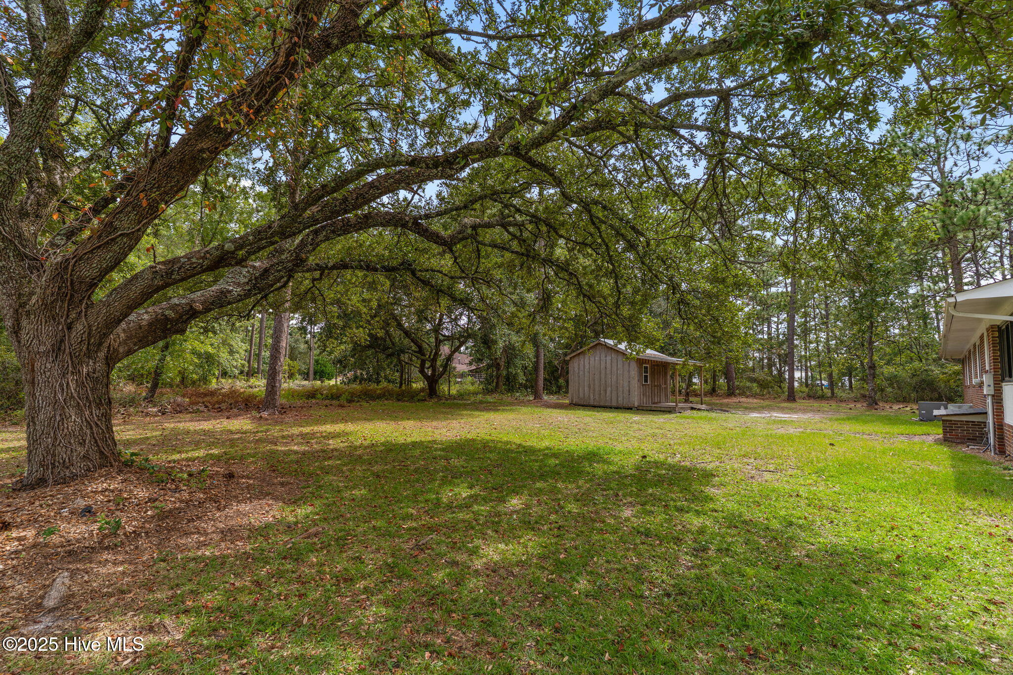 100529957 | Photo 46