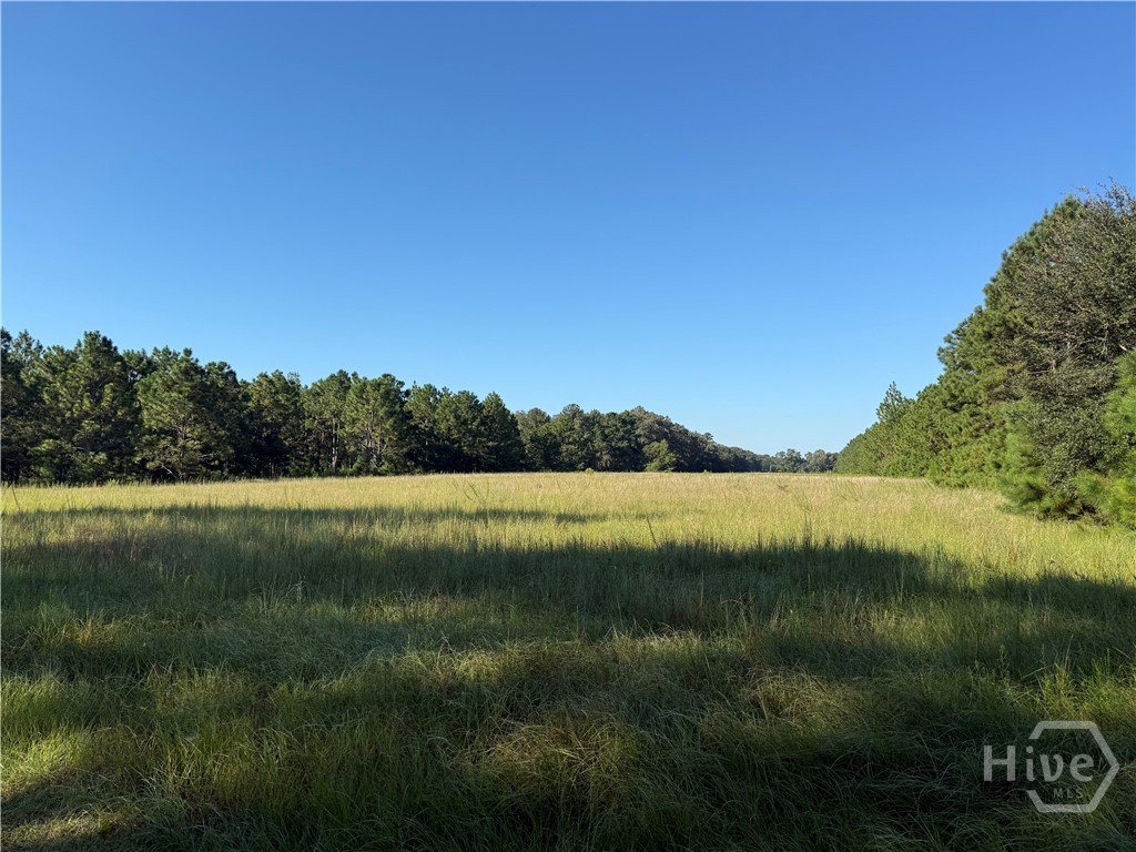 1st image of 0 Sunbury Rd #Tract 4, Claxton, GA 30417 | MLS# SA339073