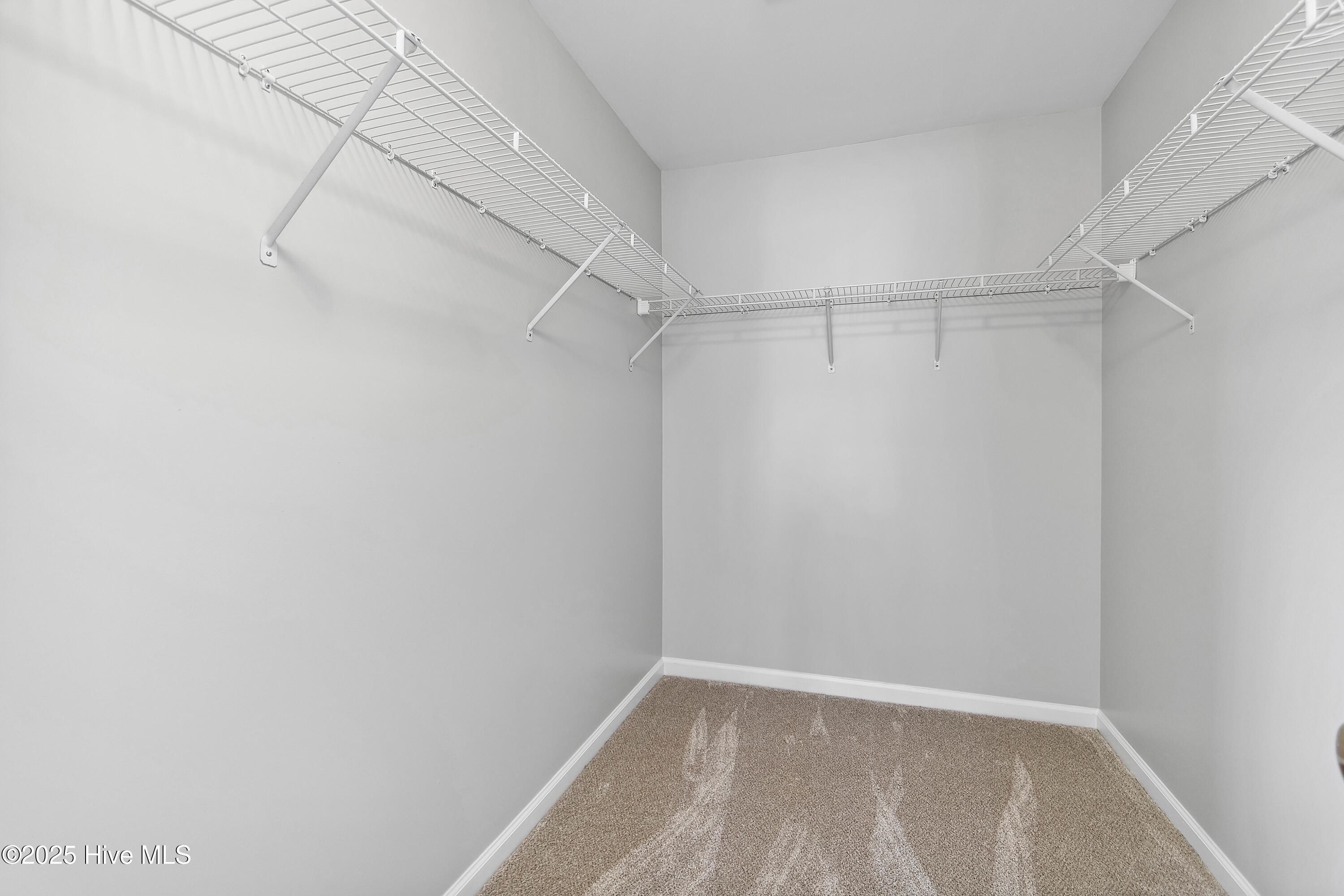 100547243 | Photo 29