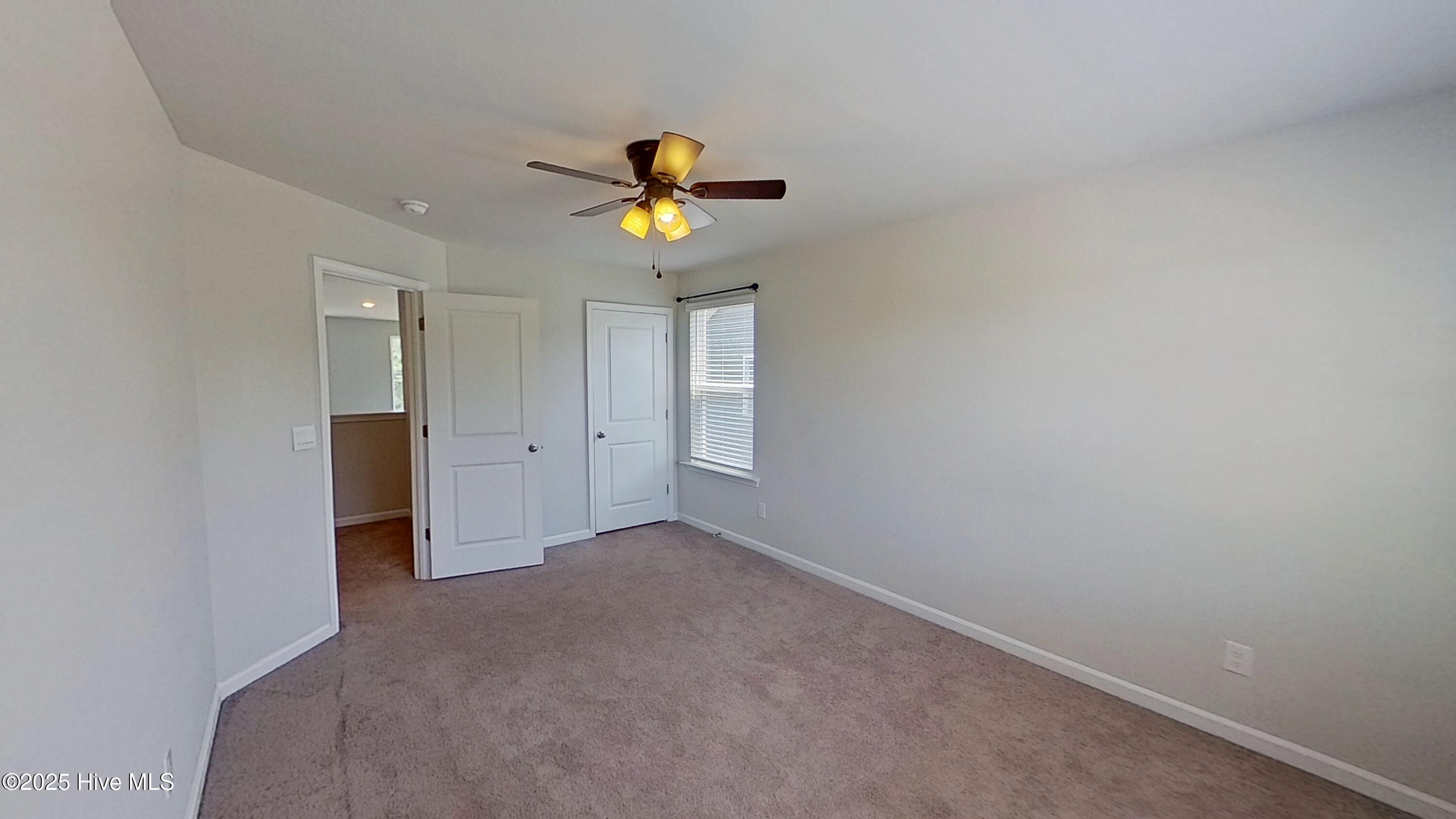 100509218 | Photo 21