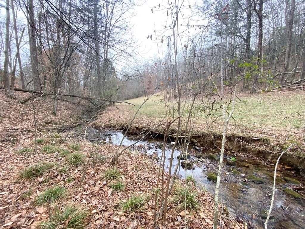 Lot 21 Broadleaf, Murphy, North Carolina, 0 ,For sale,Broadleaf,98500818 Lot 21 Broadleaf, Murphy, North Carolina, 0 ,For sale,Broadleaf,98500818