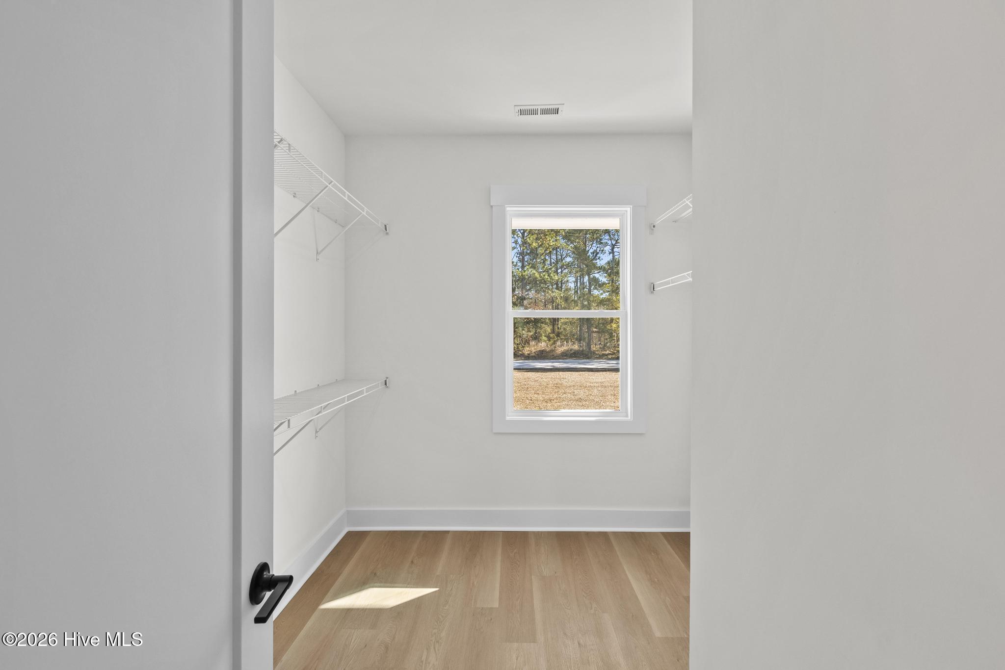 100567238 | Photo 19