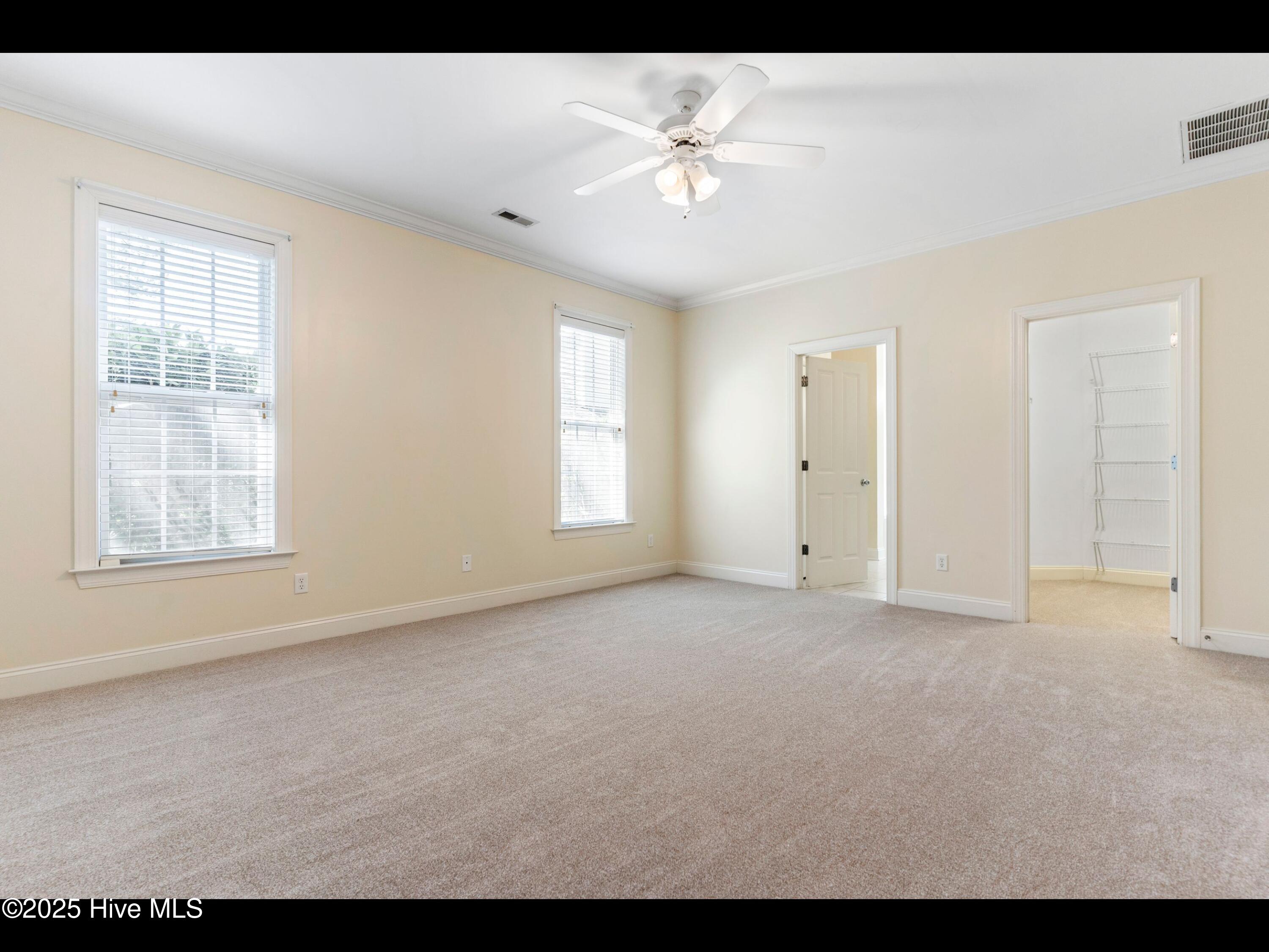 100509551 | Photo 19