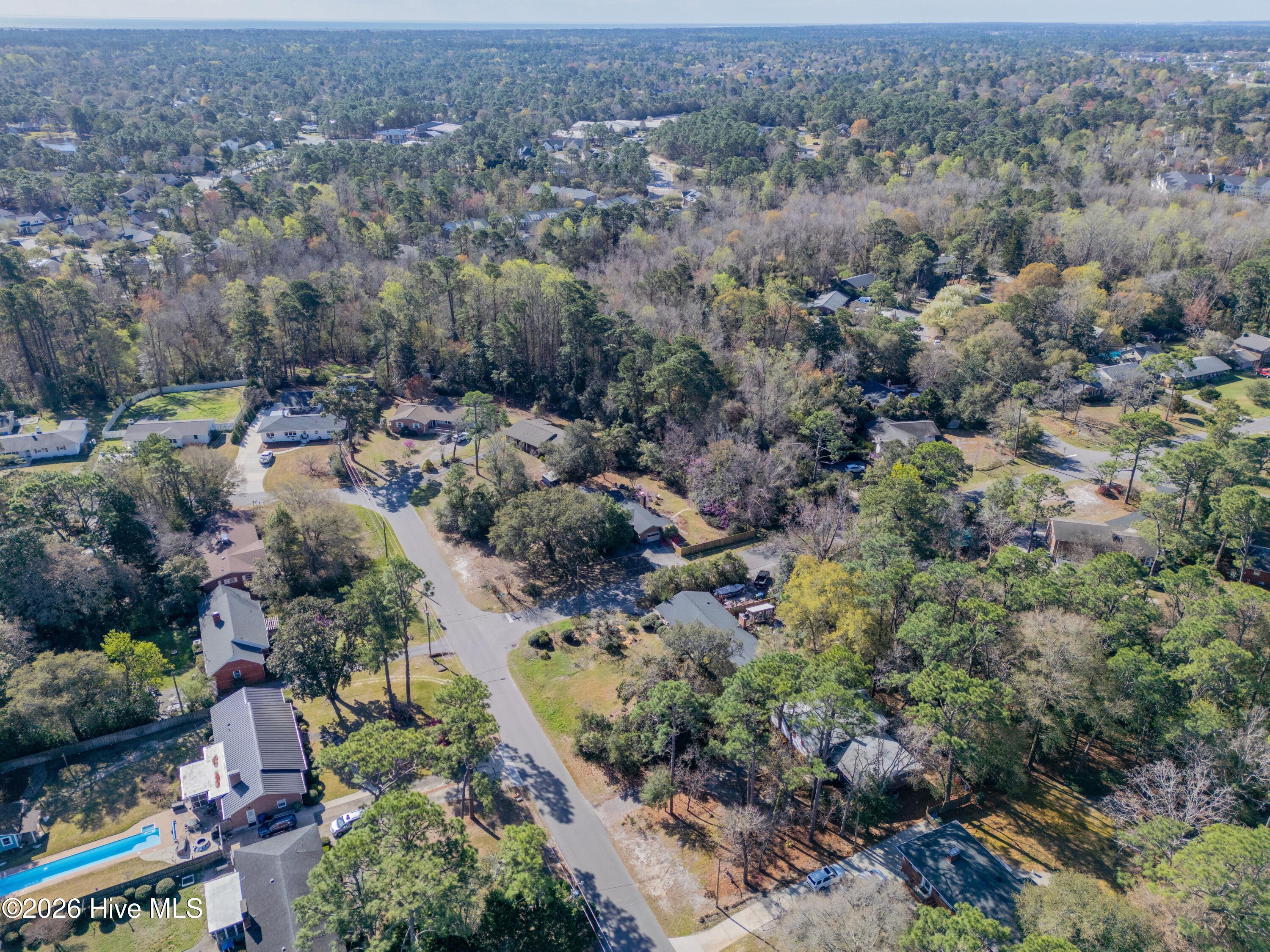 100560709 | Photo 32