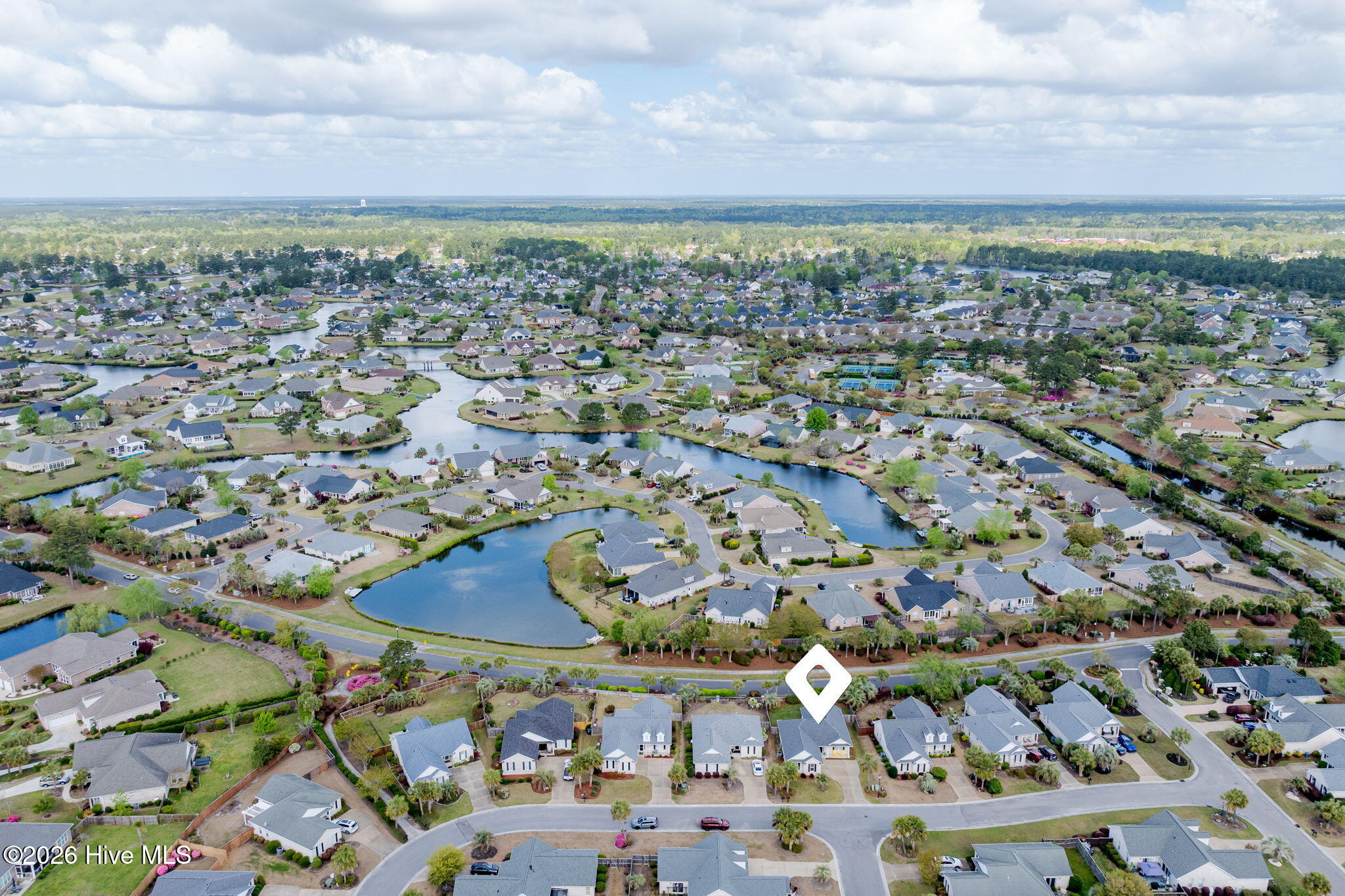 100564591 | Photo 44