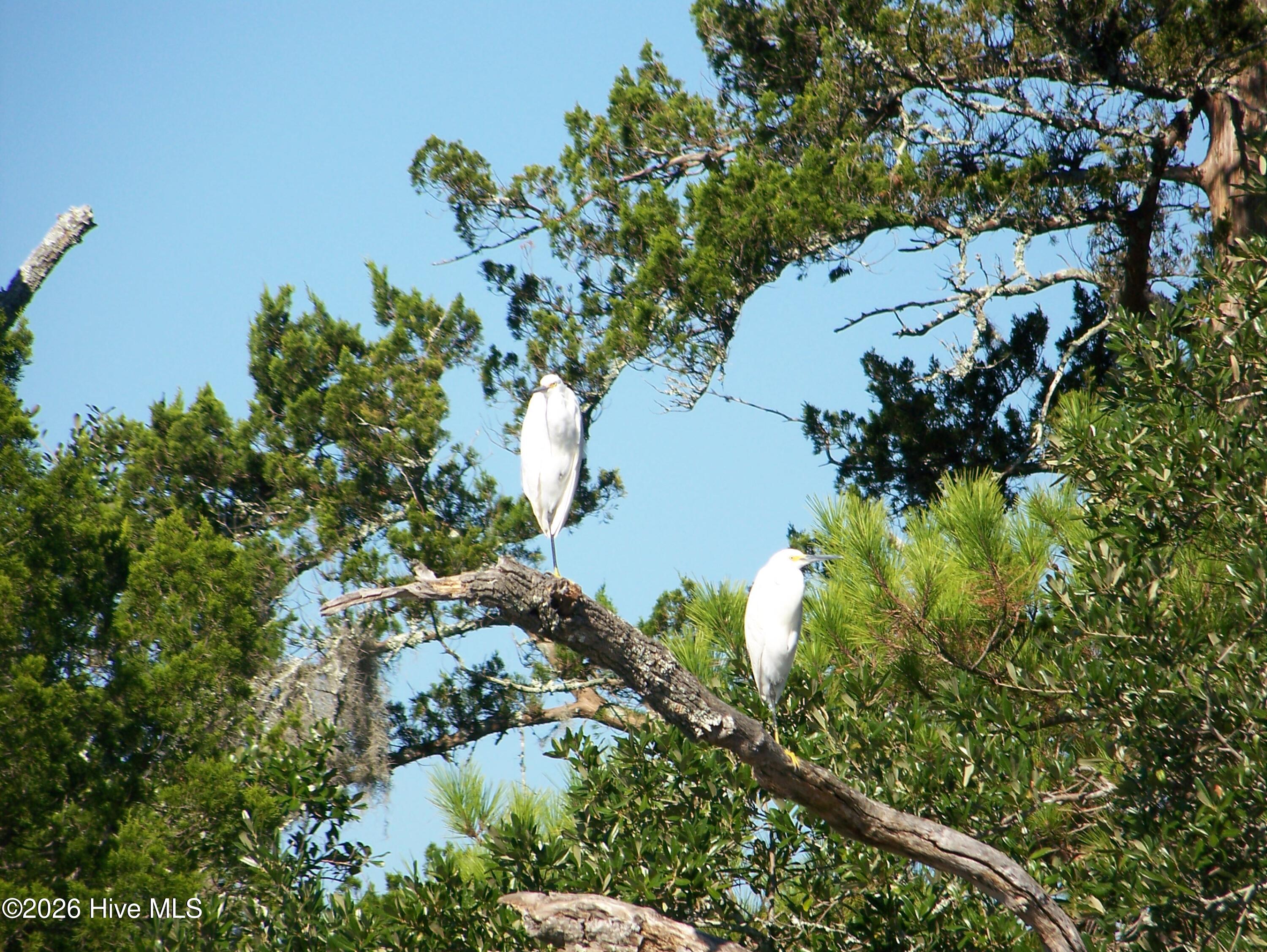 100559715 | Photo 86