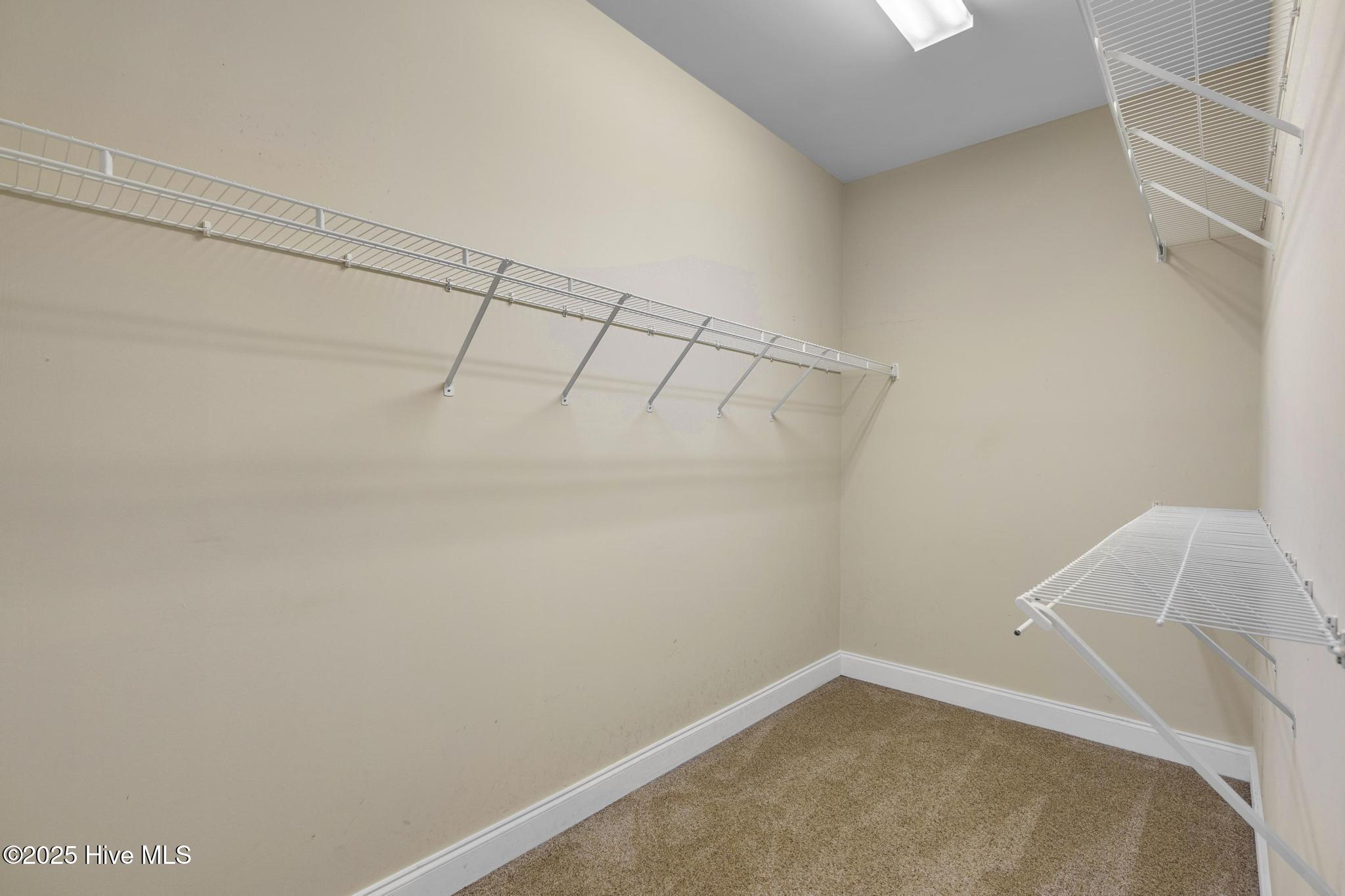 100513832 | Photo 24