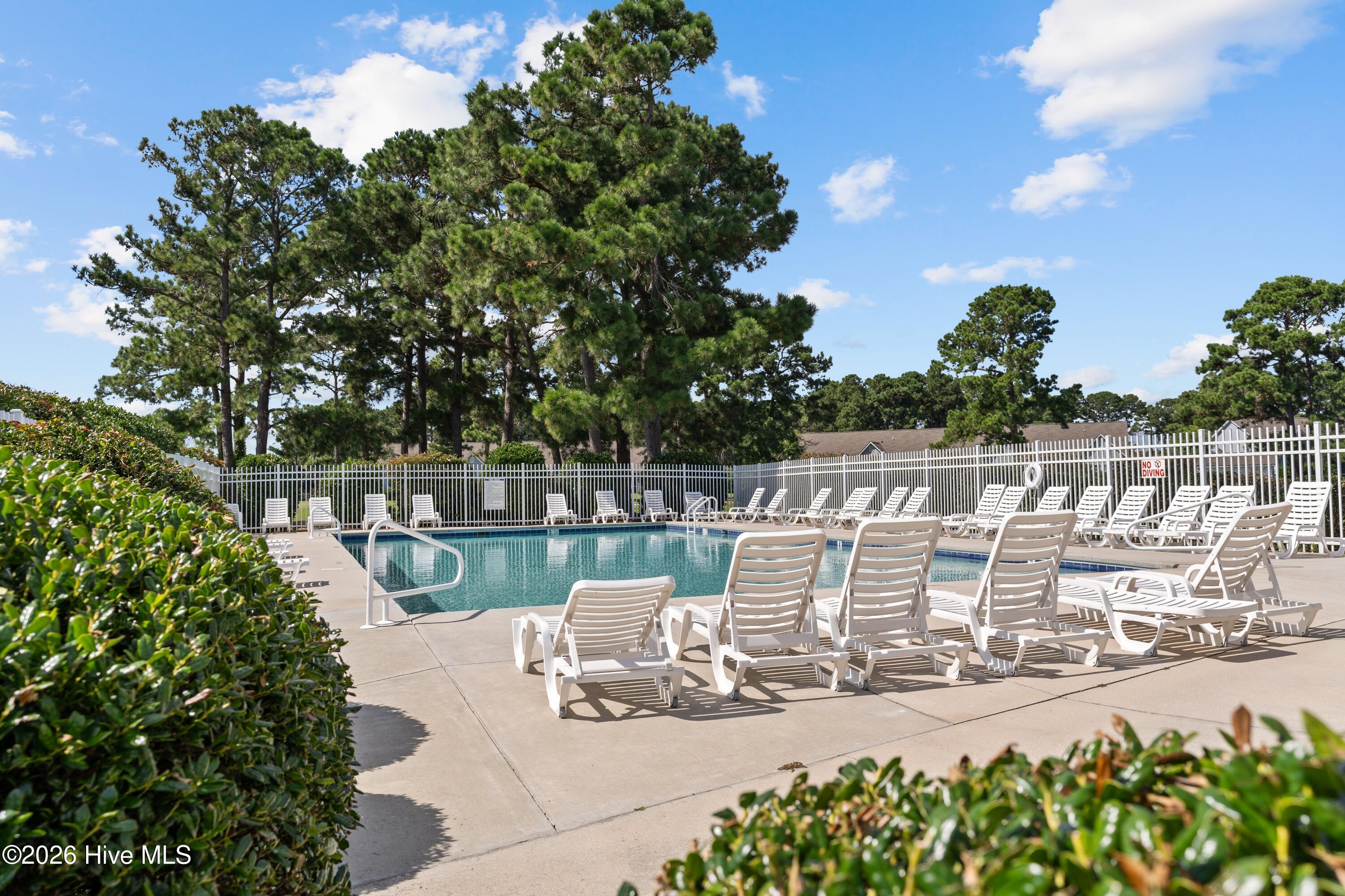 100570621 | Photo 58