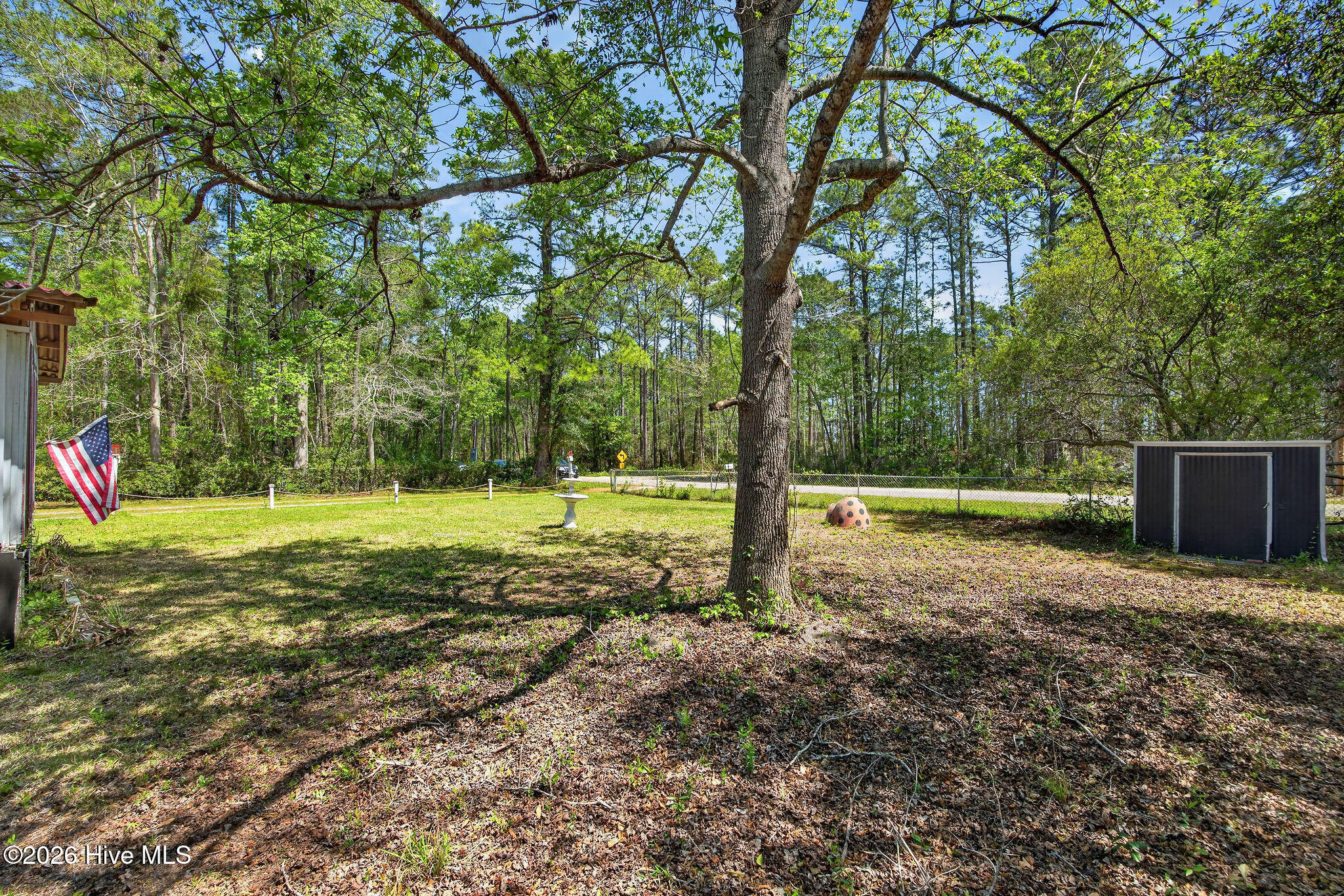 100566333 | Photo 45