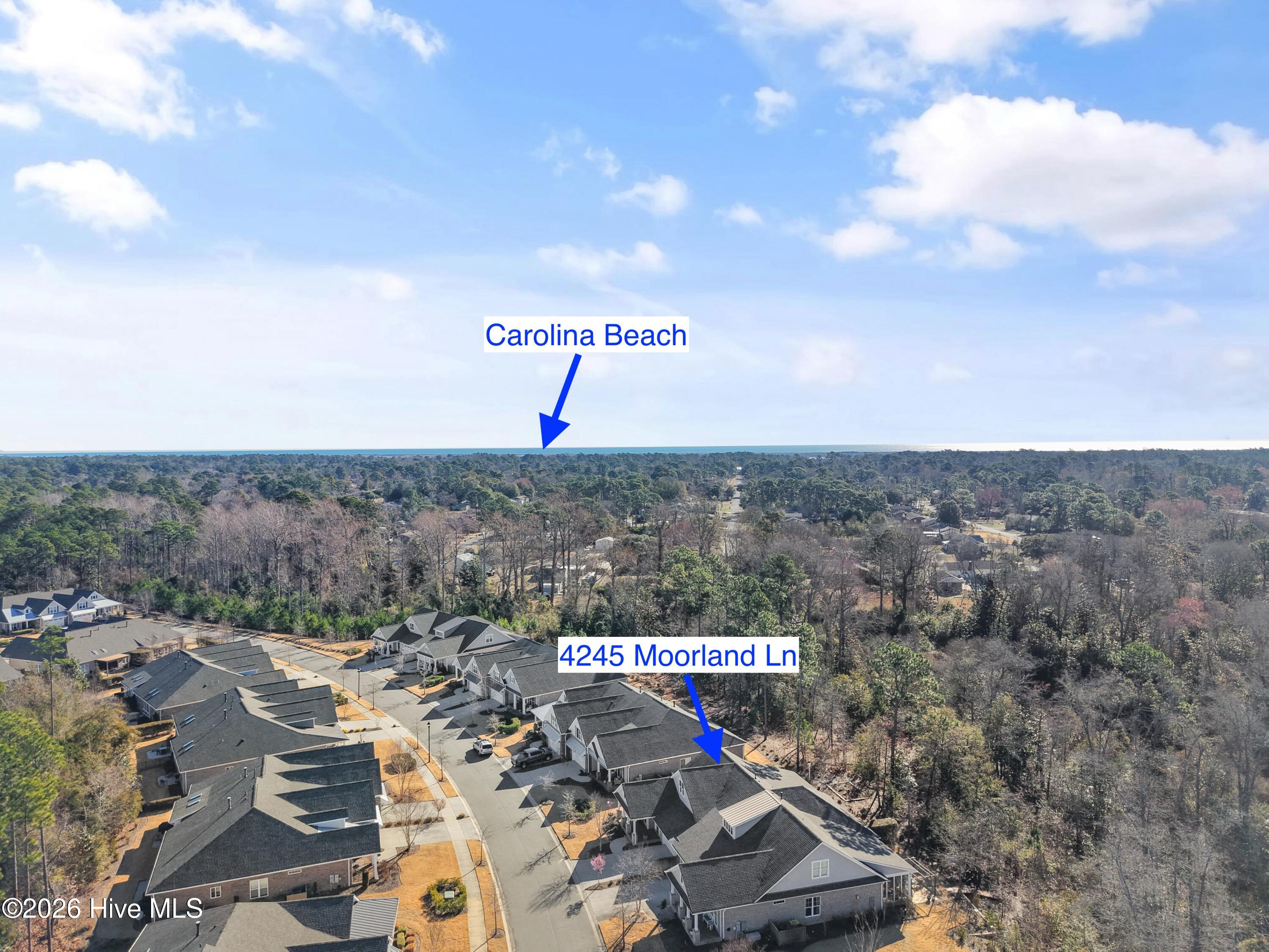 100558419 | Photo 52