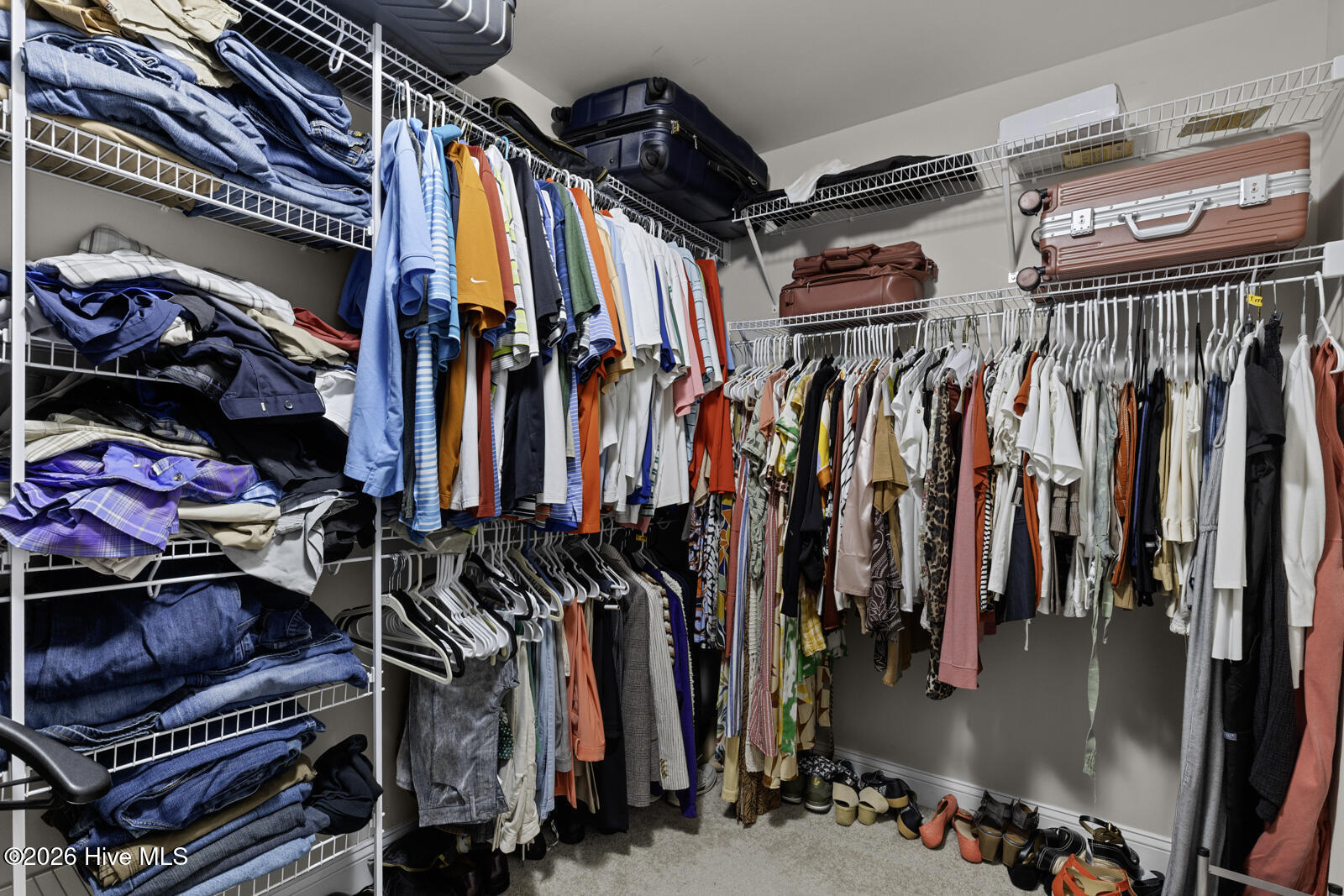 100564946 | Photo 28