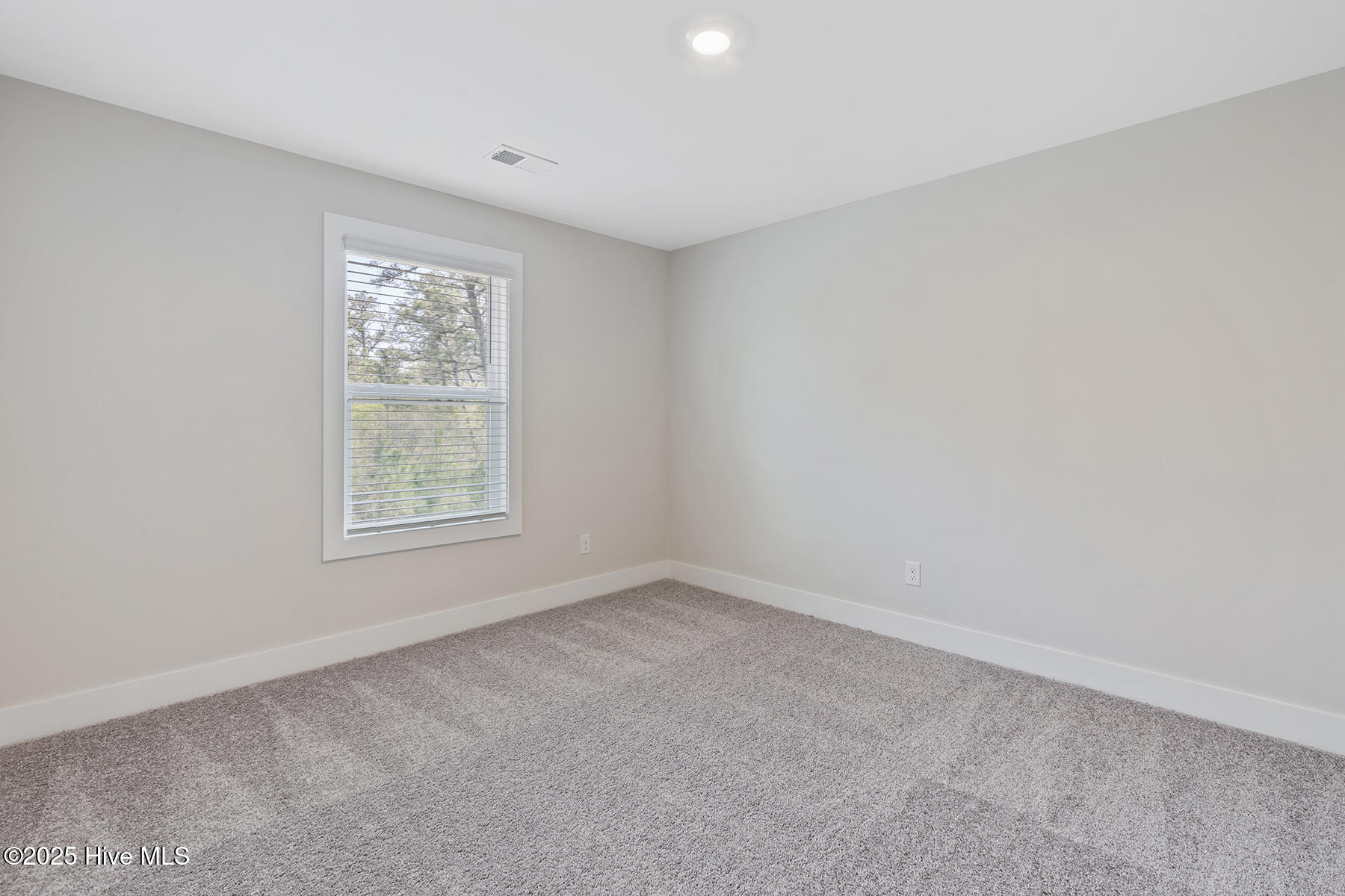 113 Umbrella Palm Drive, Hampstead, NC, 28443