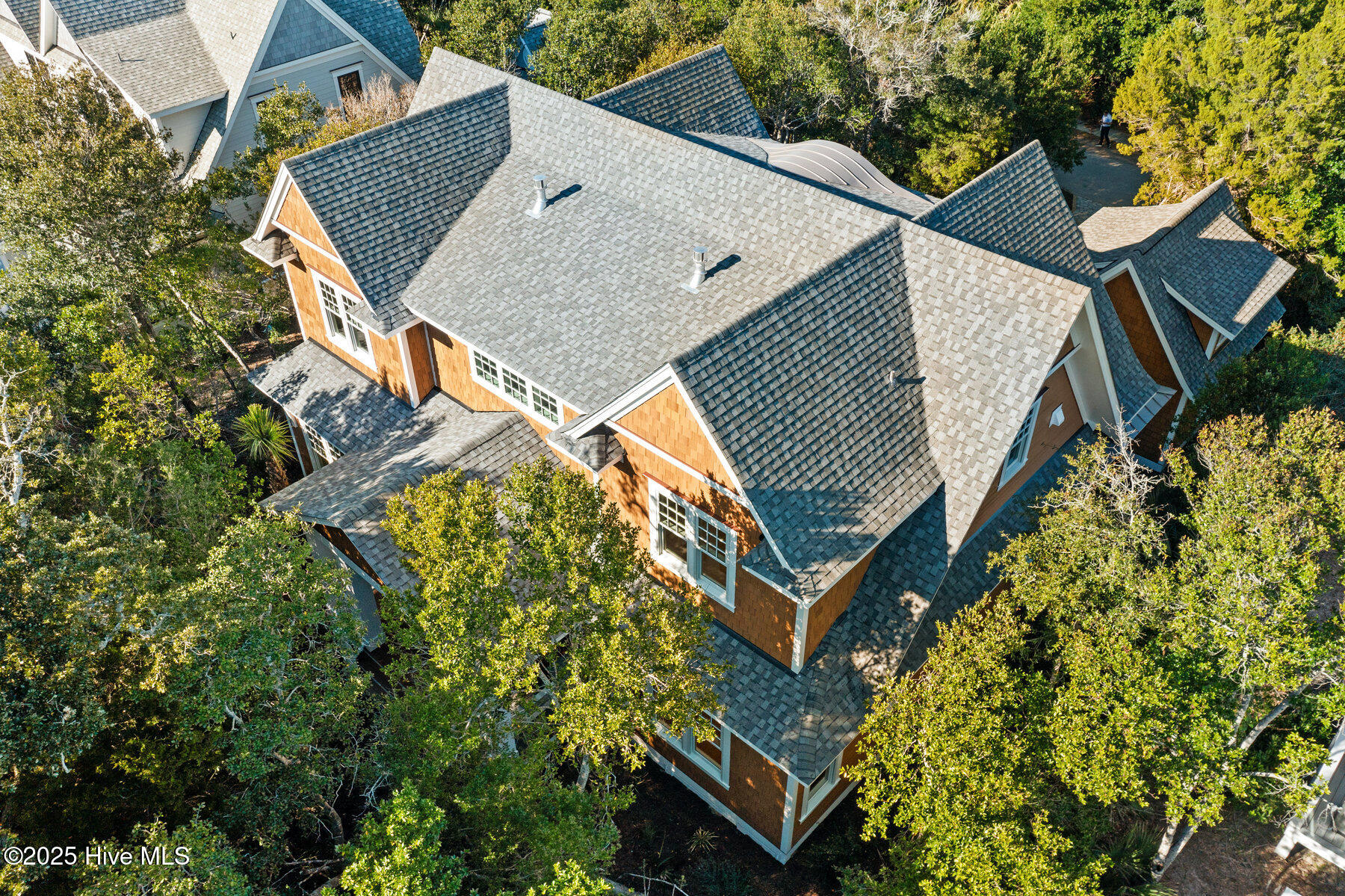 100401243 | Photo 101