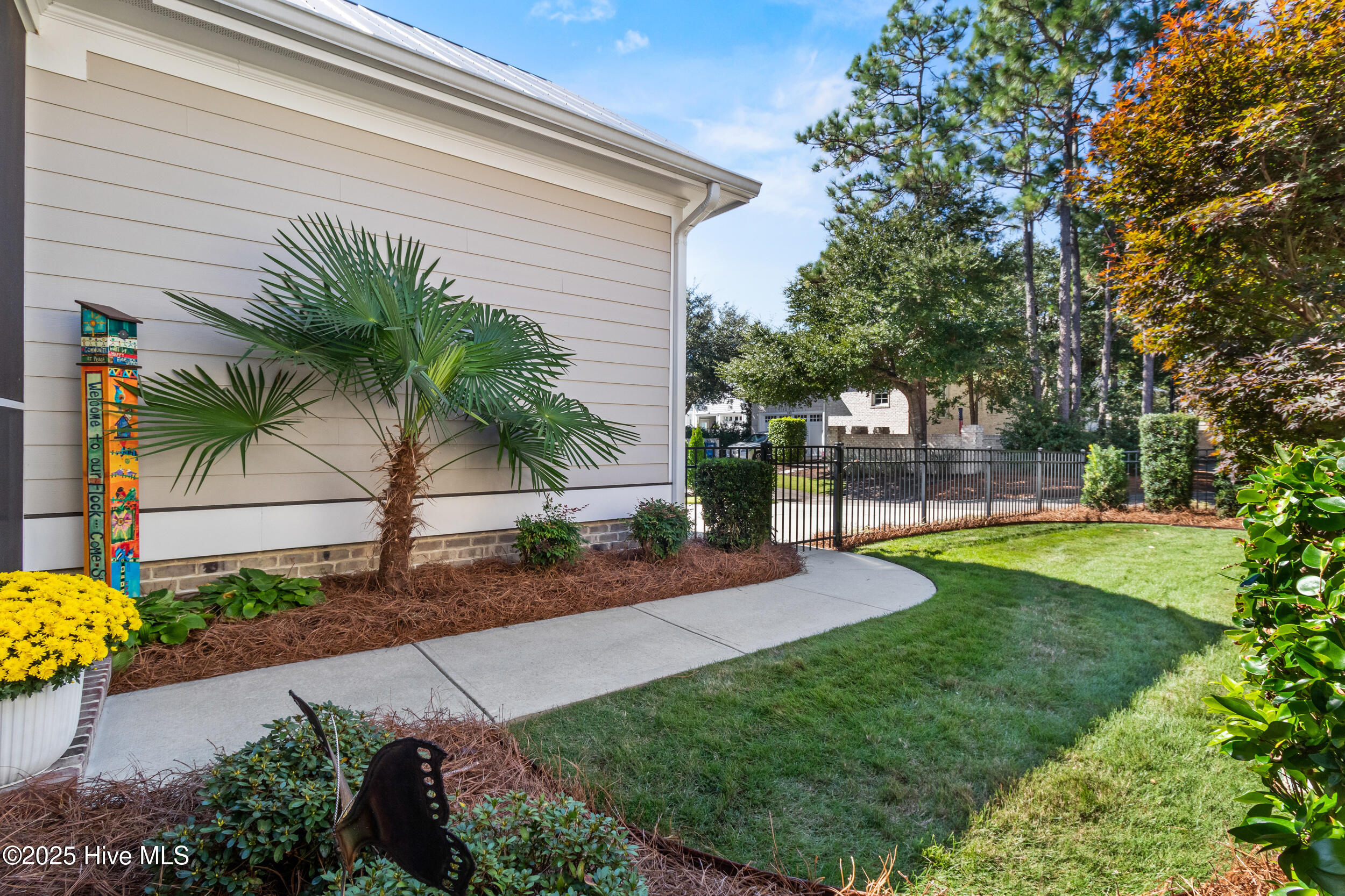 100537766 | Photo 49