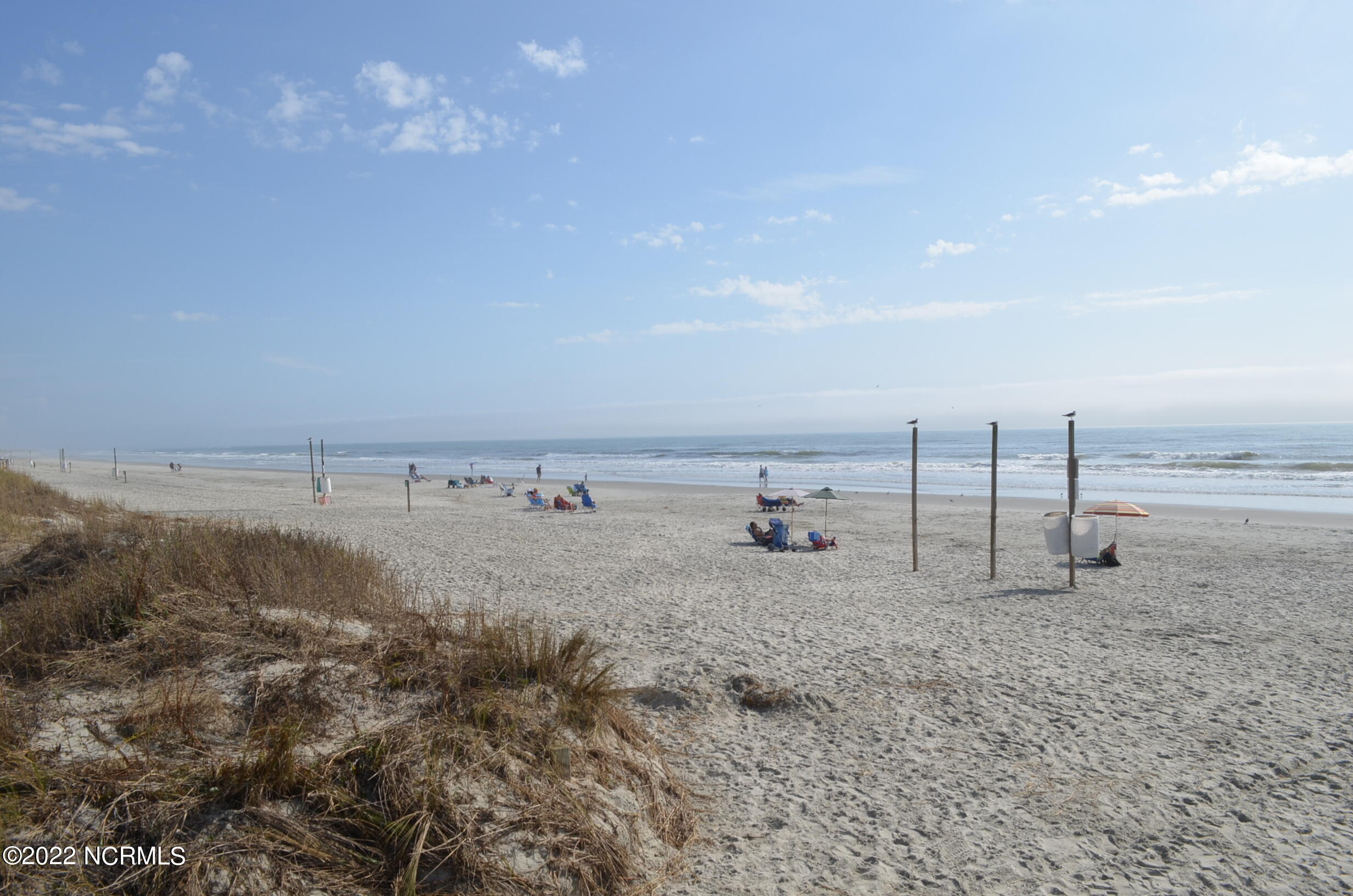 100509028 | Photo 19