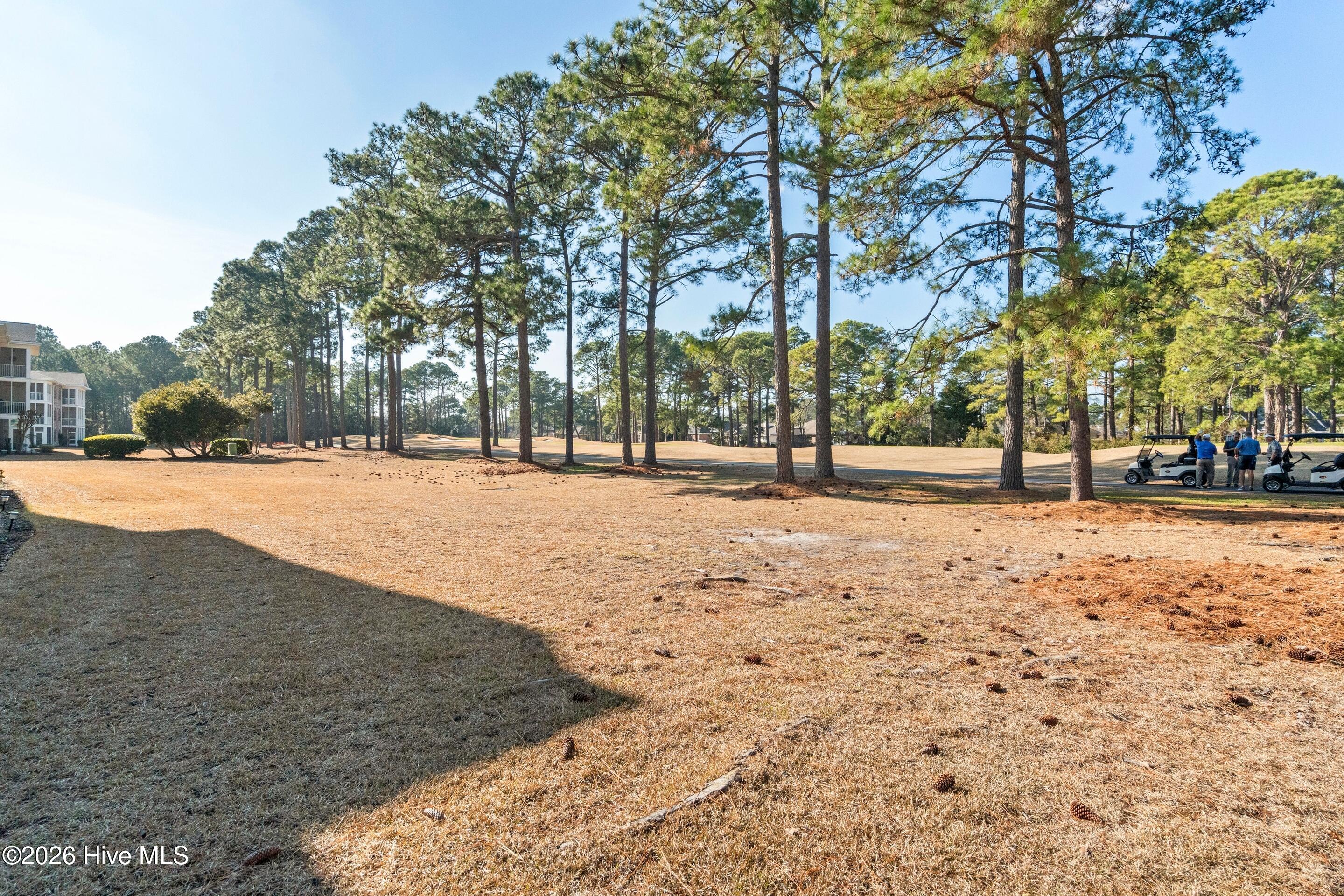 100548504 | Photo 73