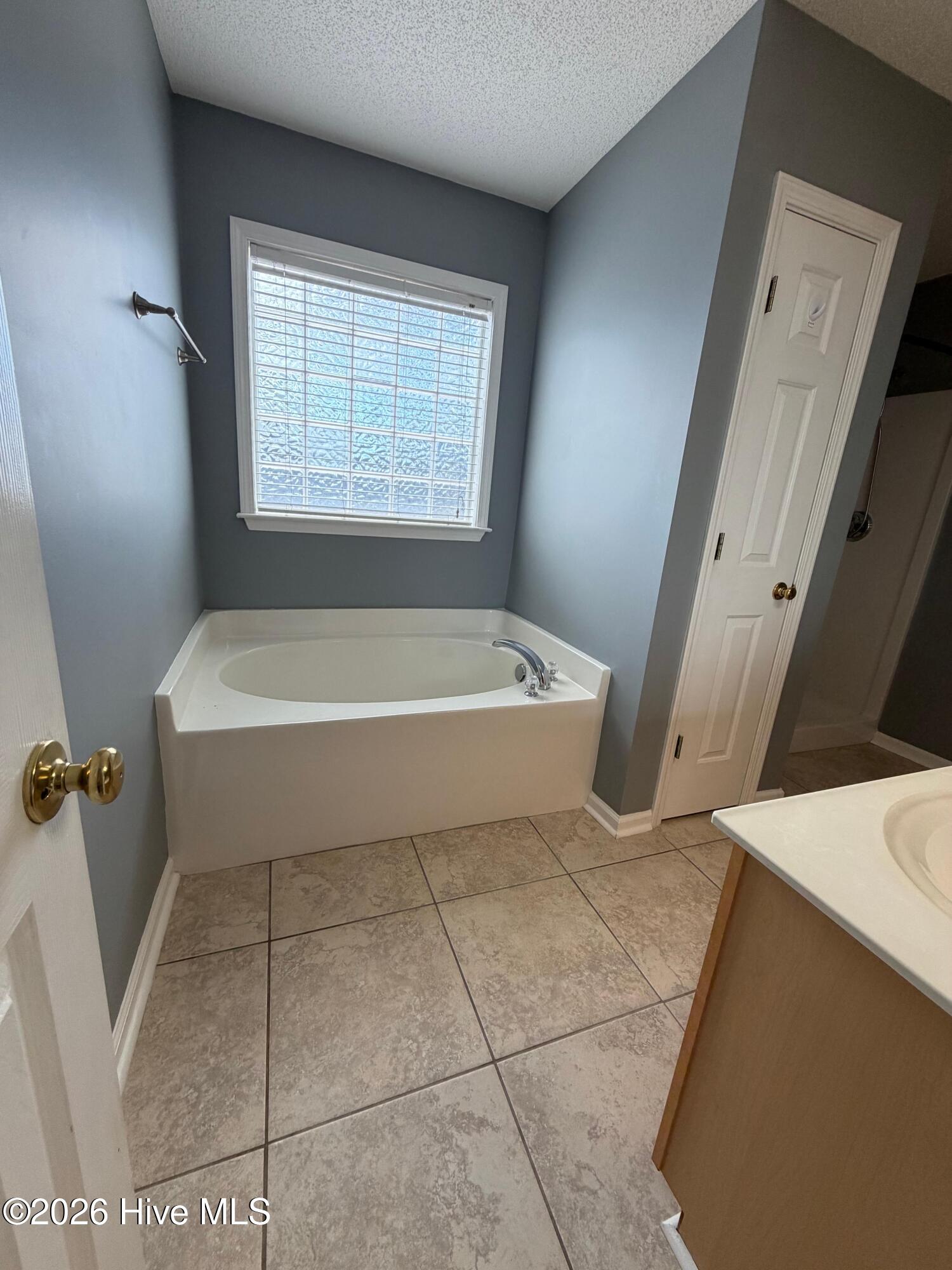 100548019 | Photo 10