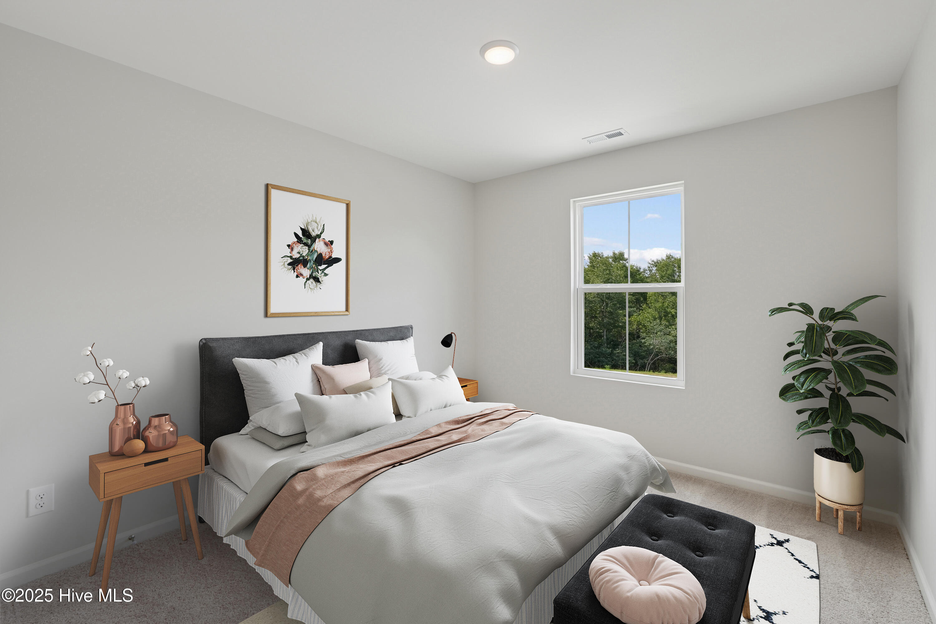 100542499 | Photo 14