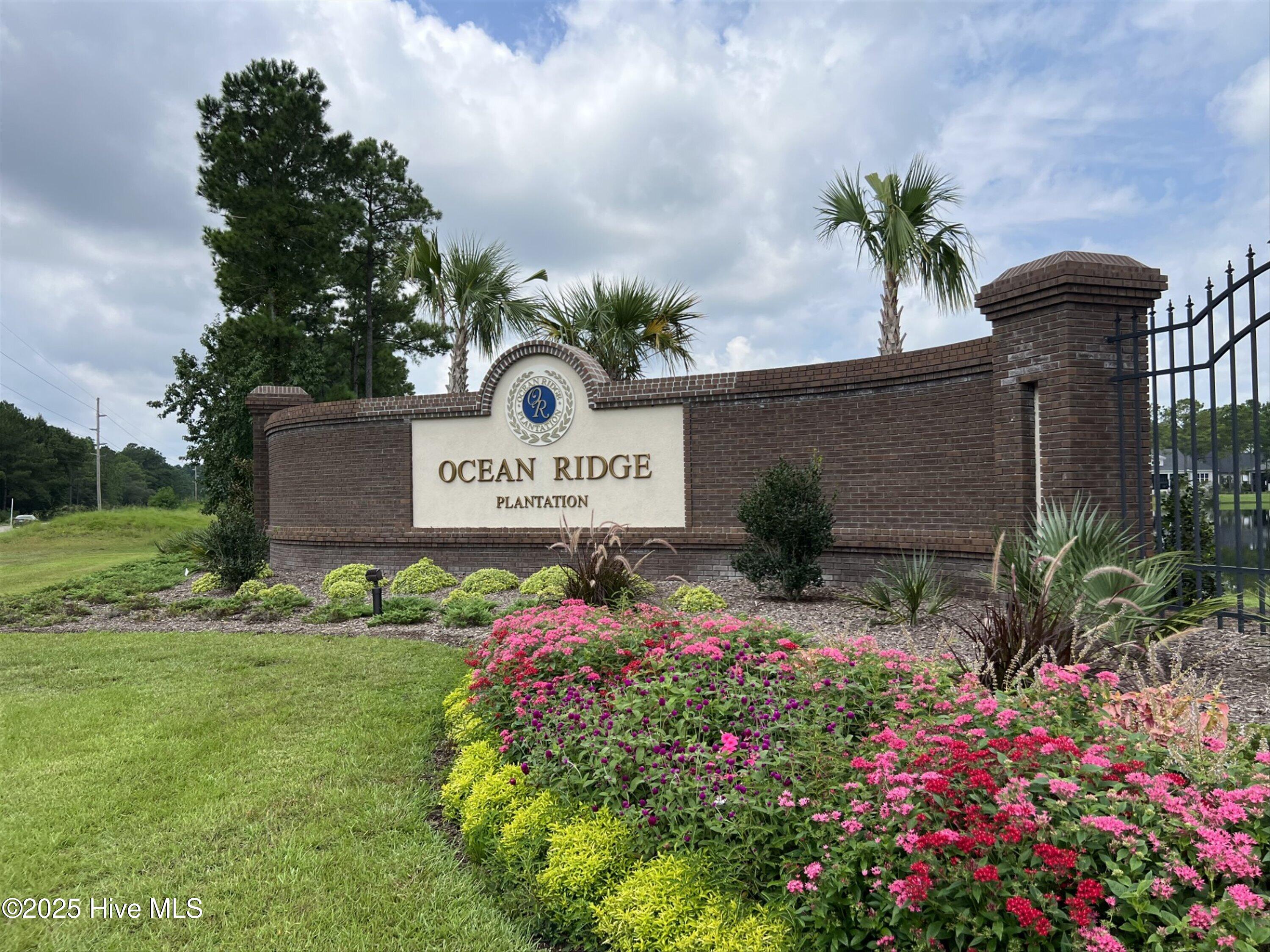 100528105 | Photo 52