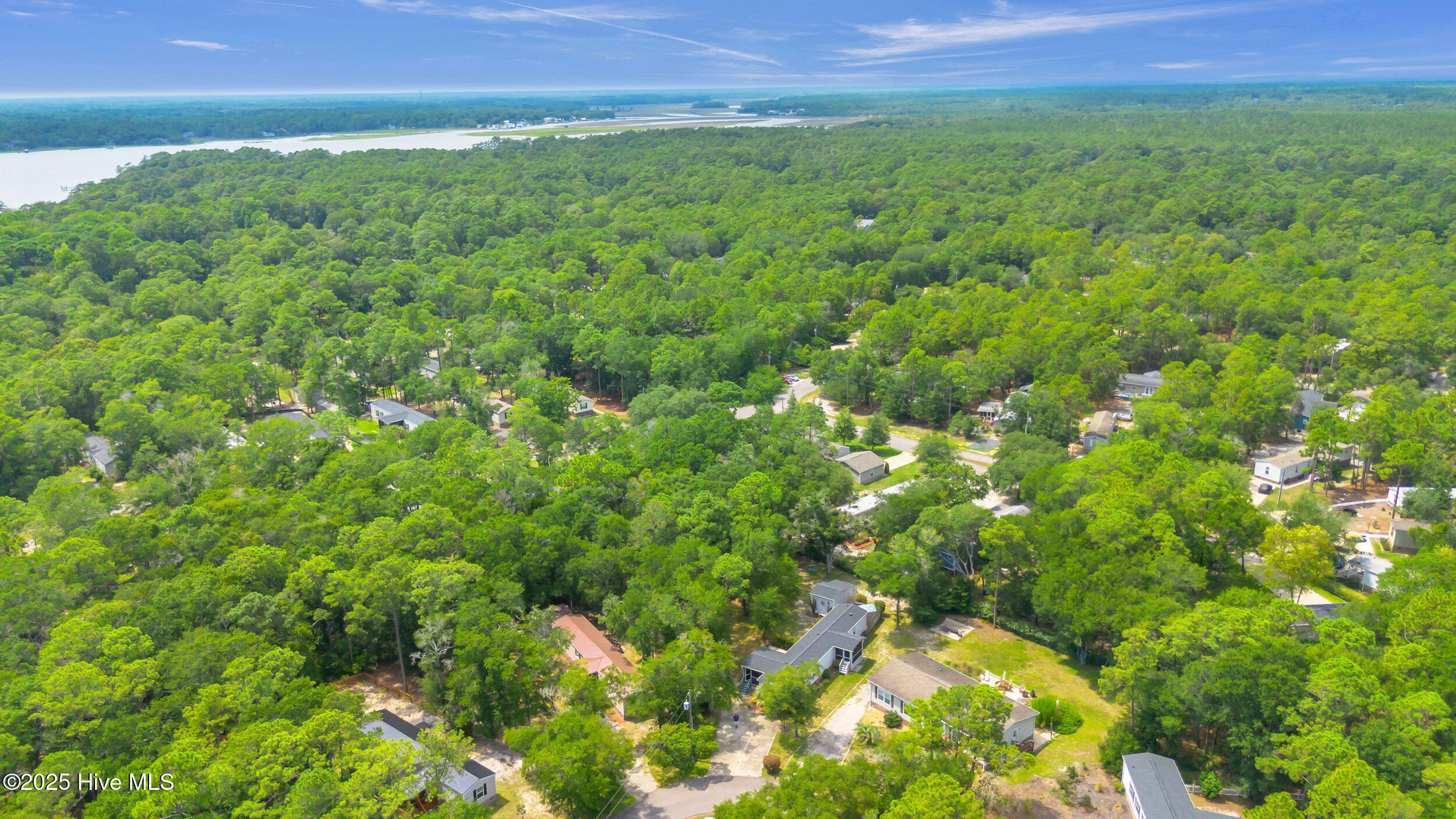 100559828 | Photo 30