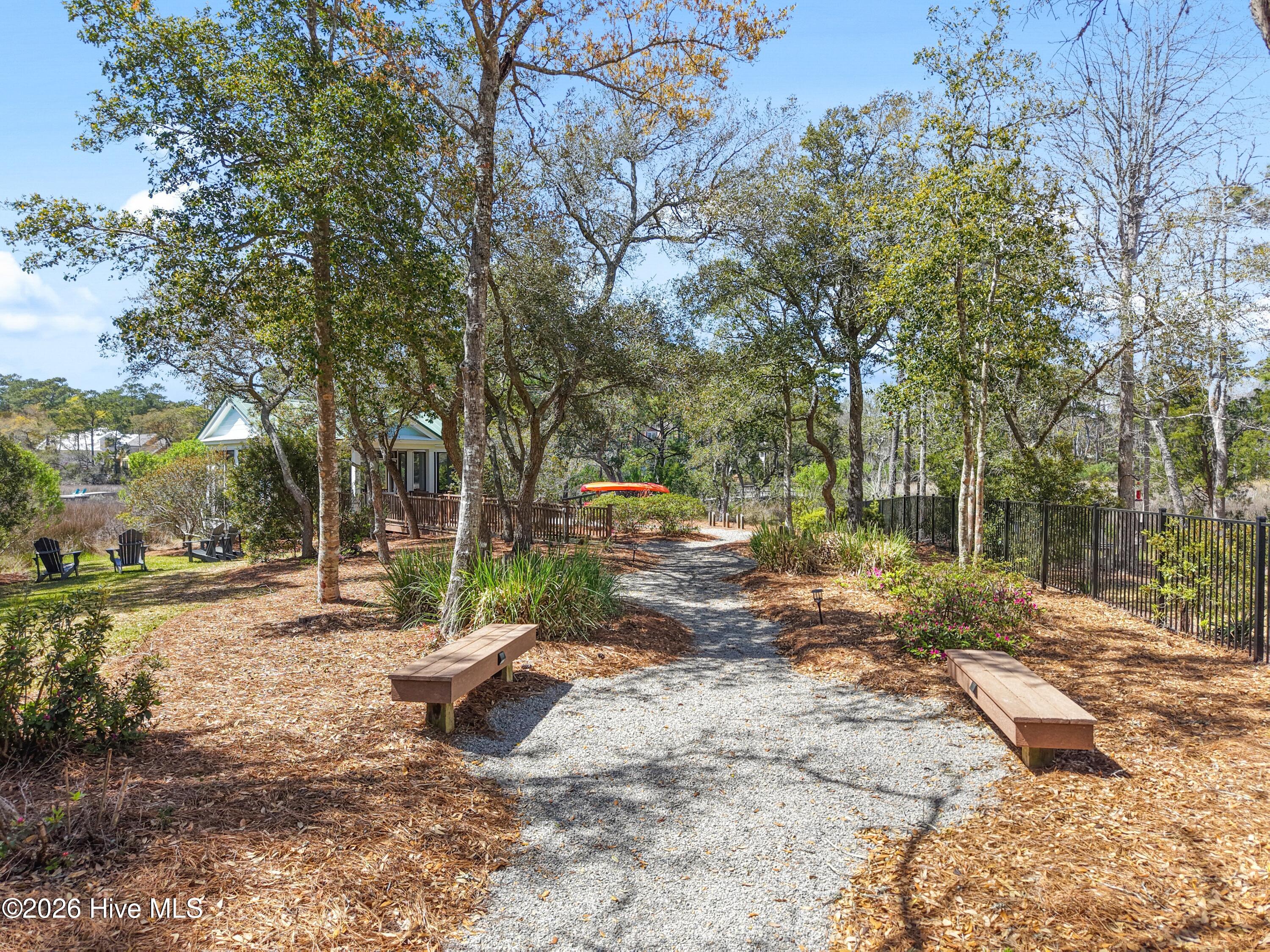 100563883 | Photo 19