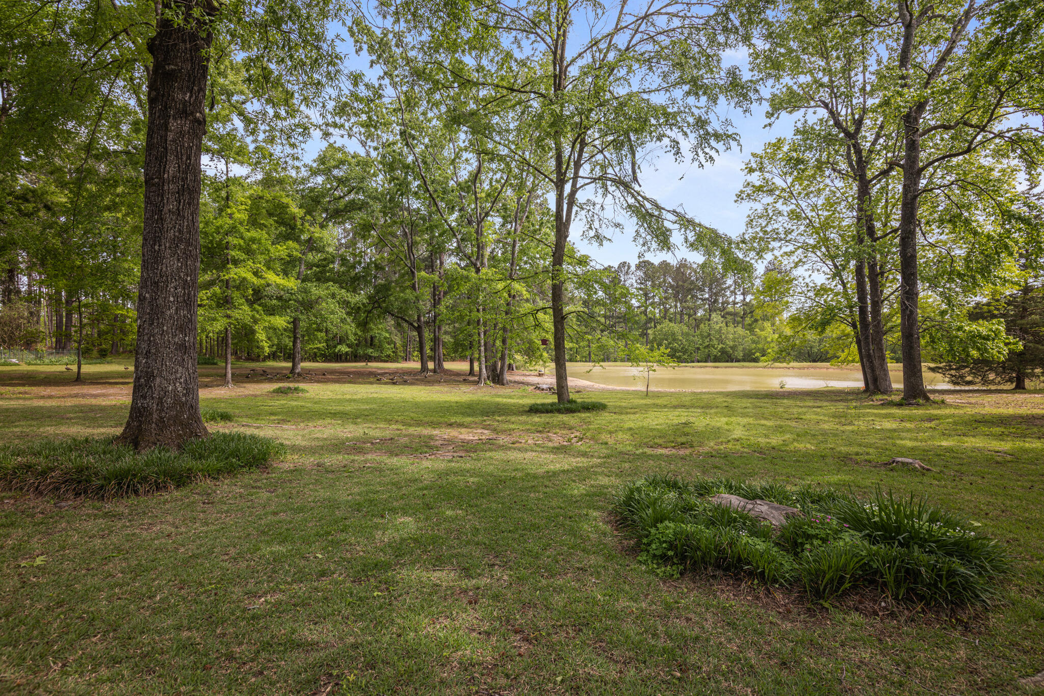 07-6521 Stranford Road-68