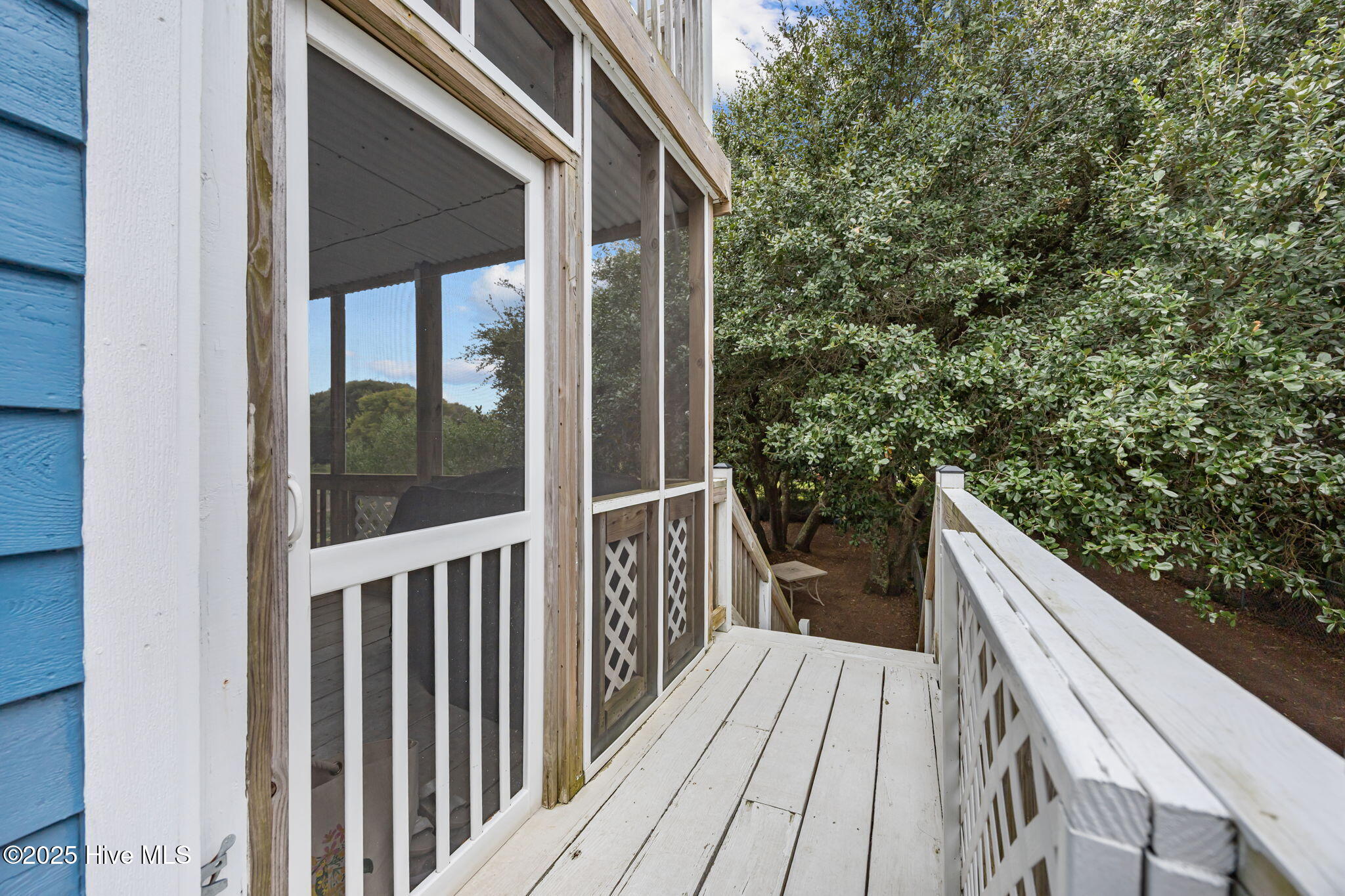 100530225 | Photo 45