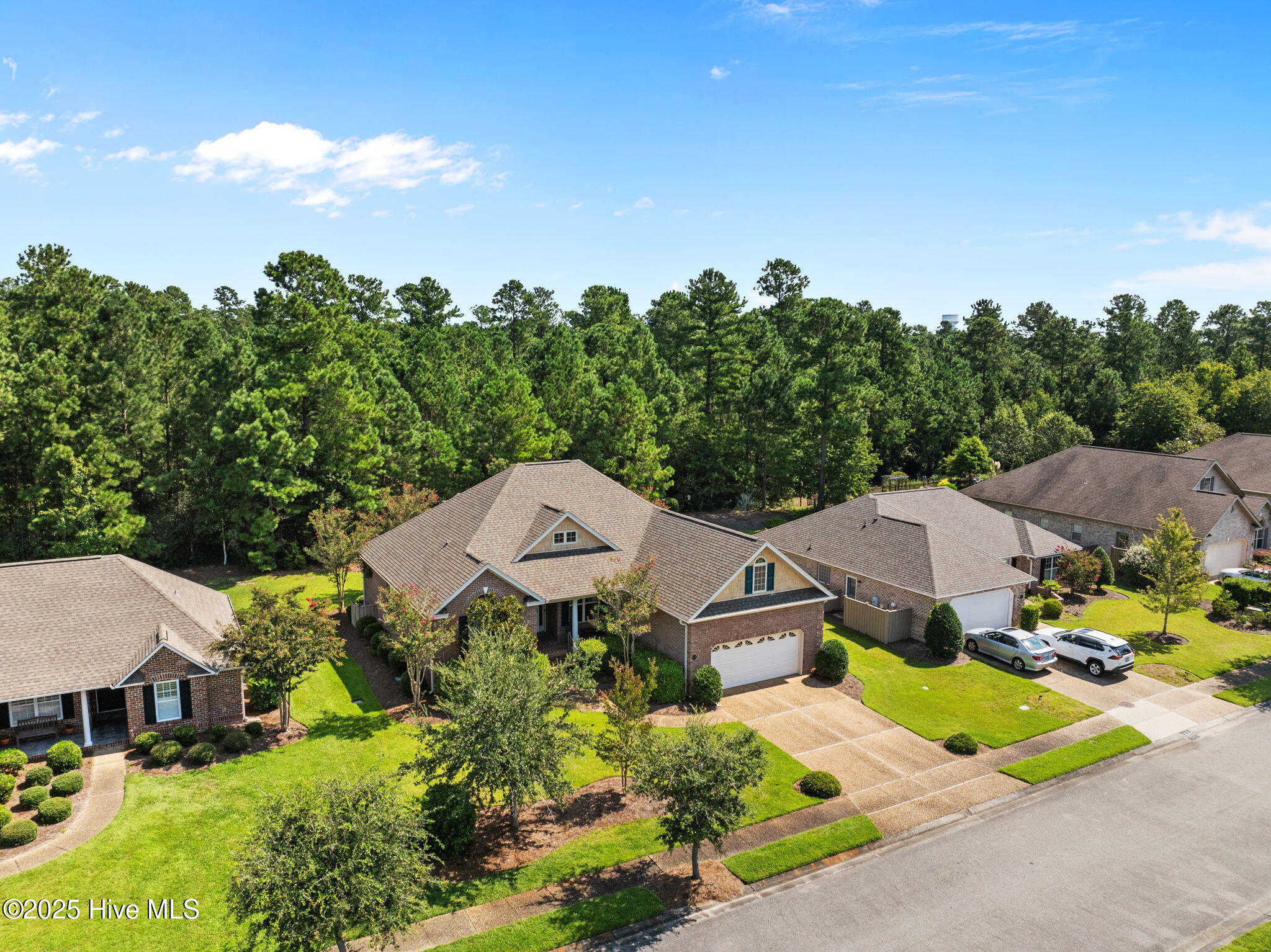 100525755 | Photo 45