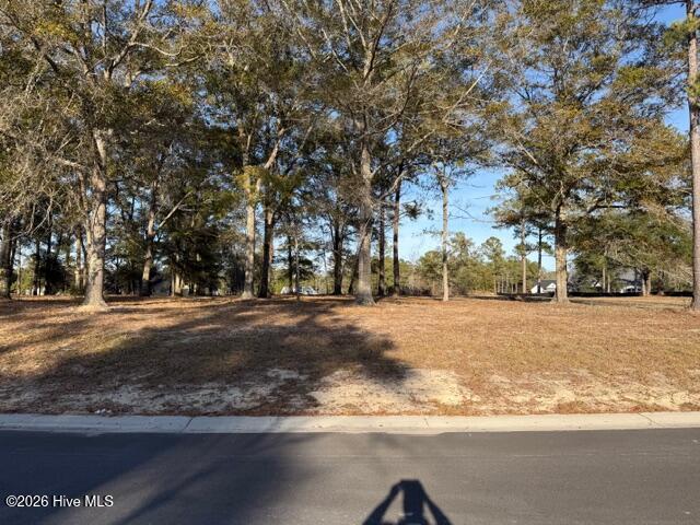 Carolina Barrier Islands