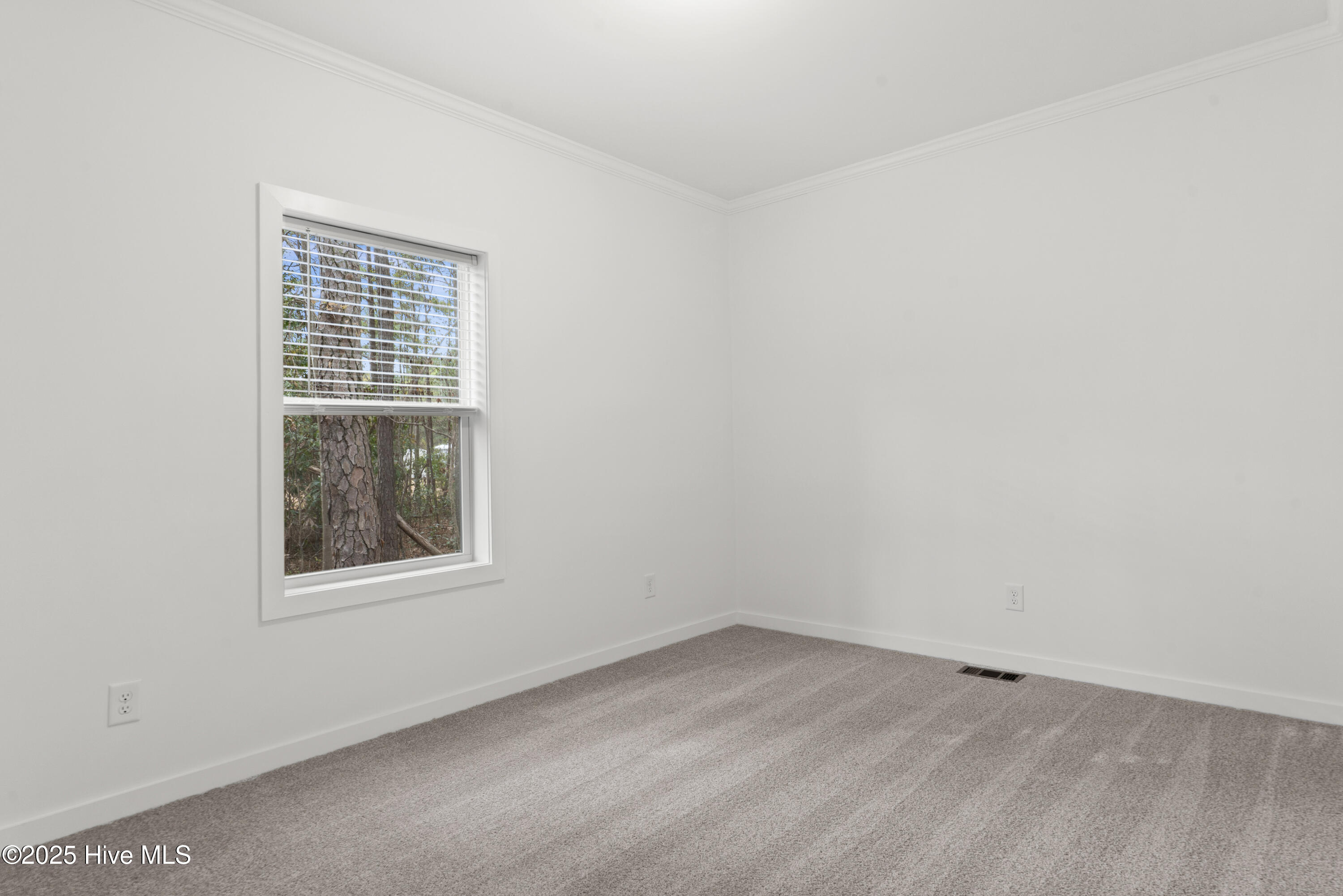 100546141 | Photo 26